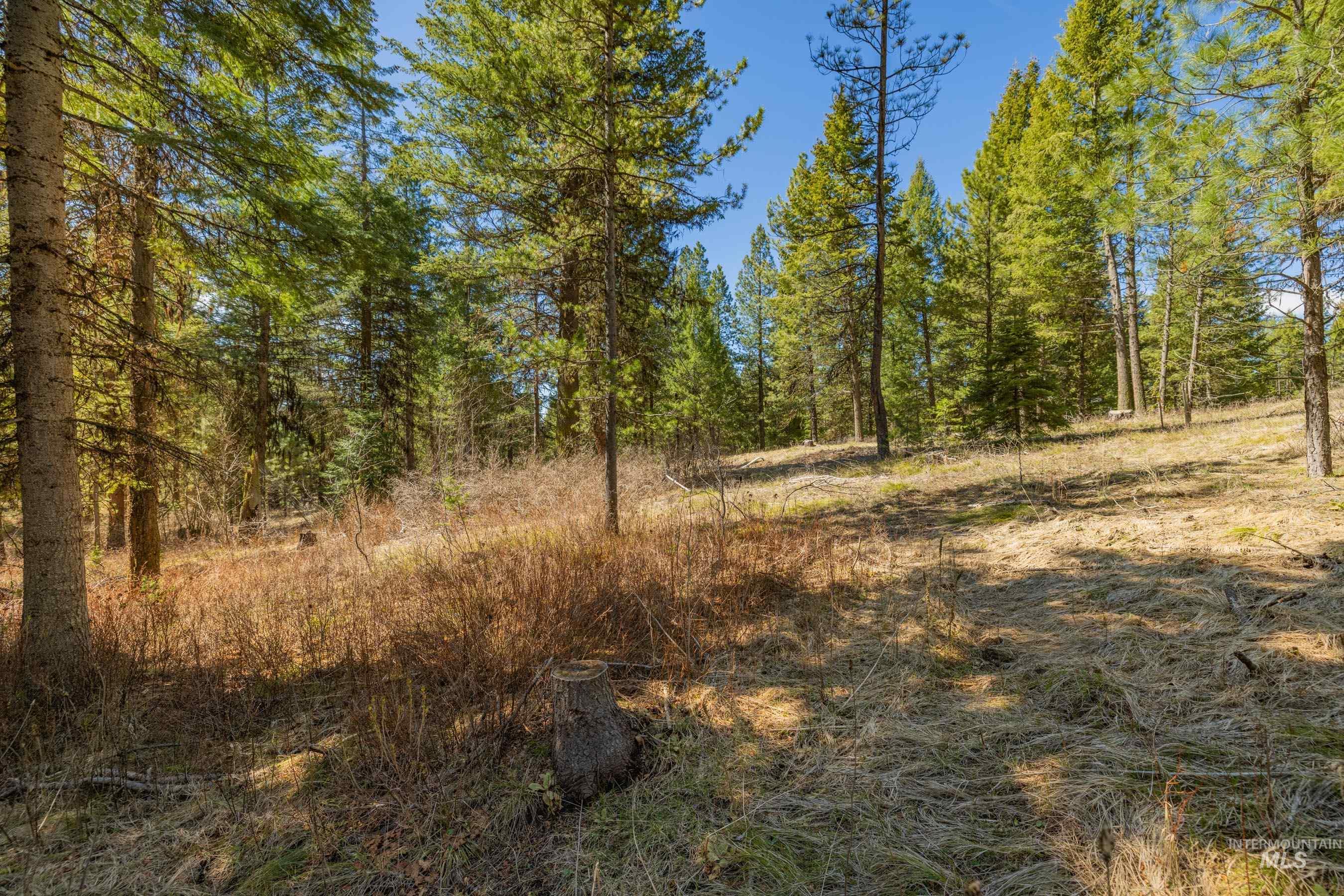 15 York Street, McCall, Idaho 83638, Land For Sale, Price $254,150, 98982028