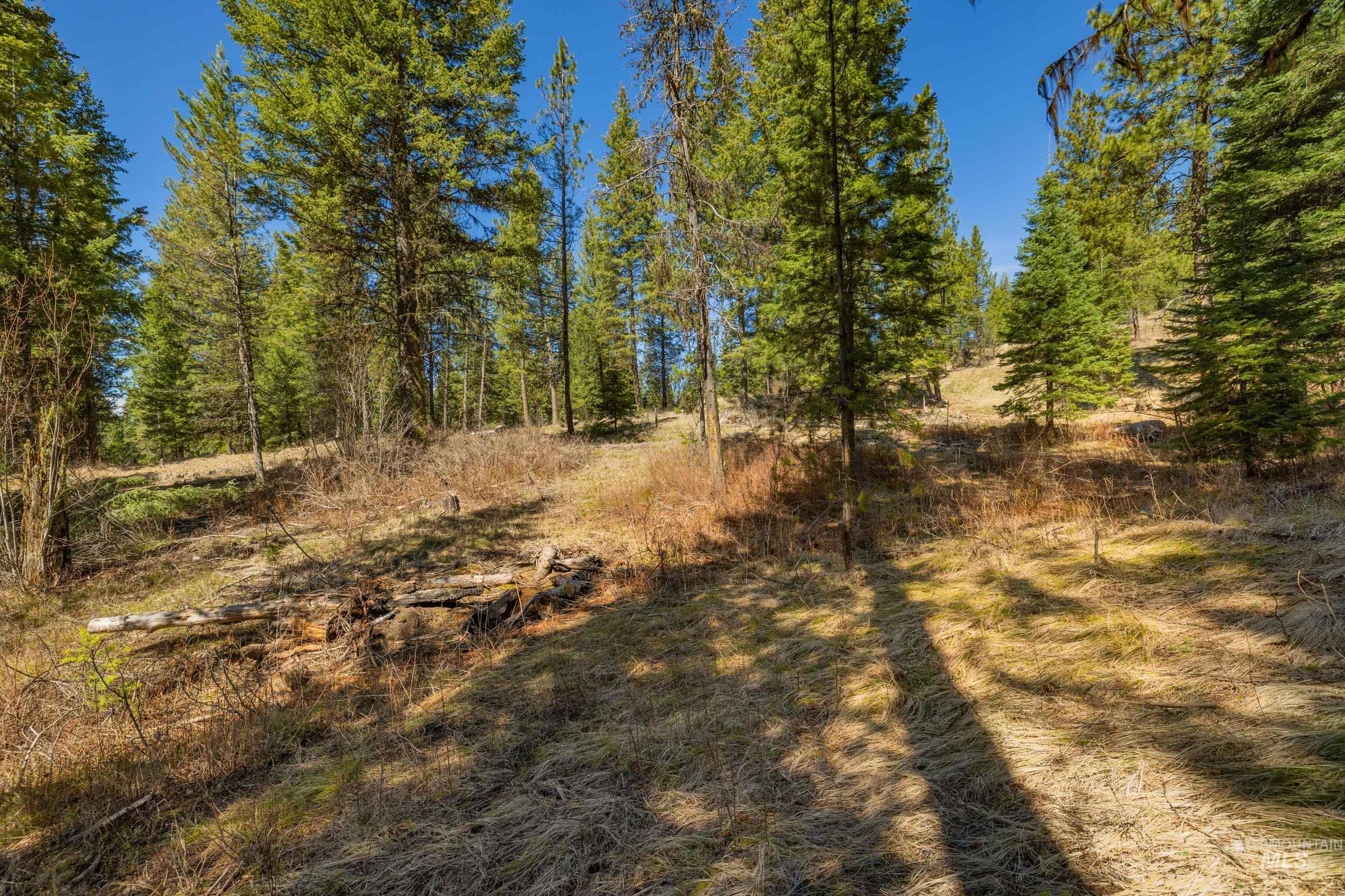 15 York Street, McCall, Idaho 83638, Land For Sale, Price $254,150, 98982028