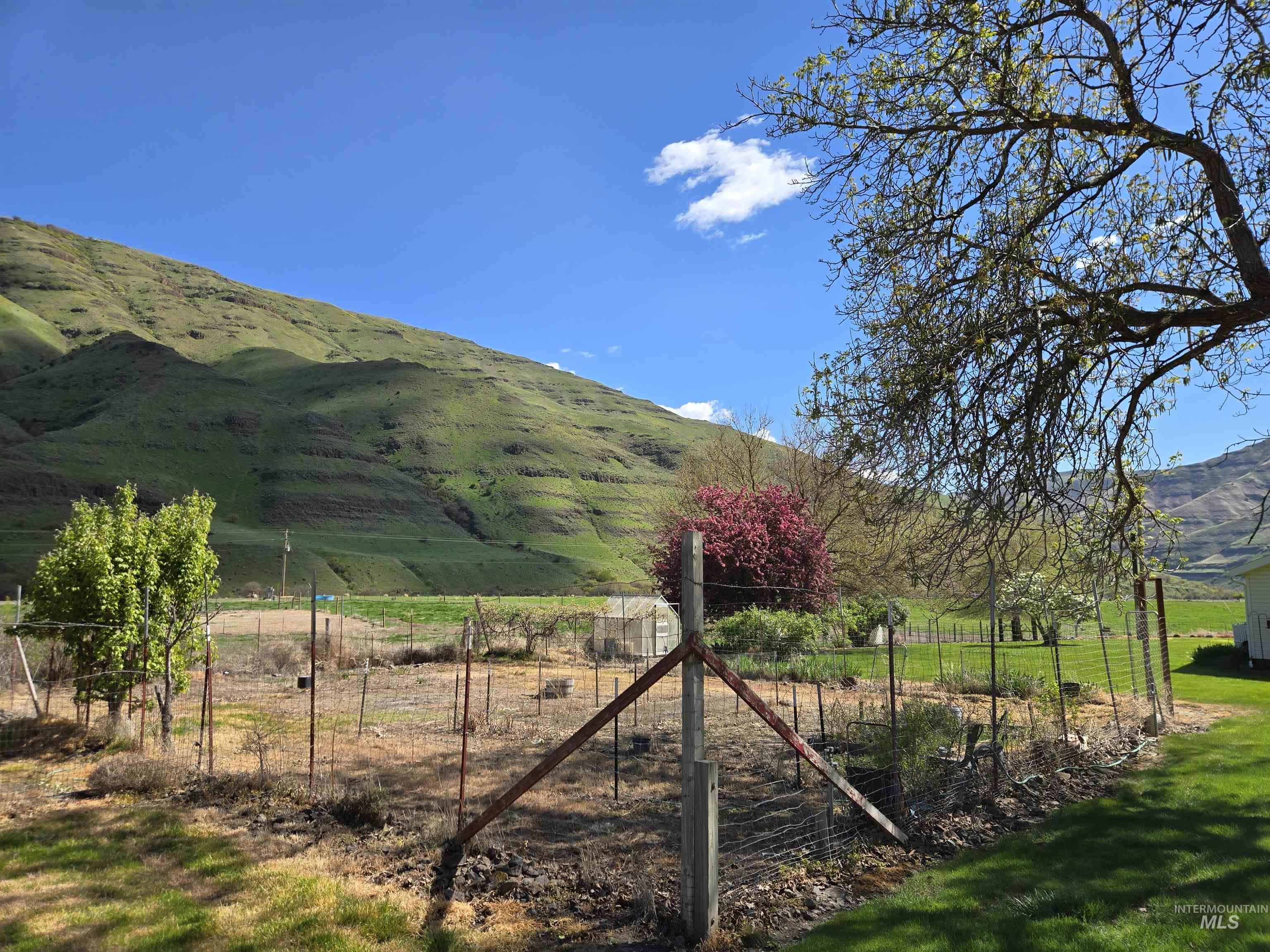 17082 Snake River Road, Asotin, Washington 99402, 2 Bedrooms, 1 Bathroom, Residential For Sale, Price $520,000, 98982071