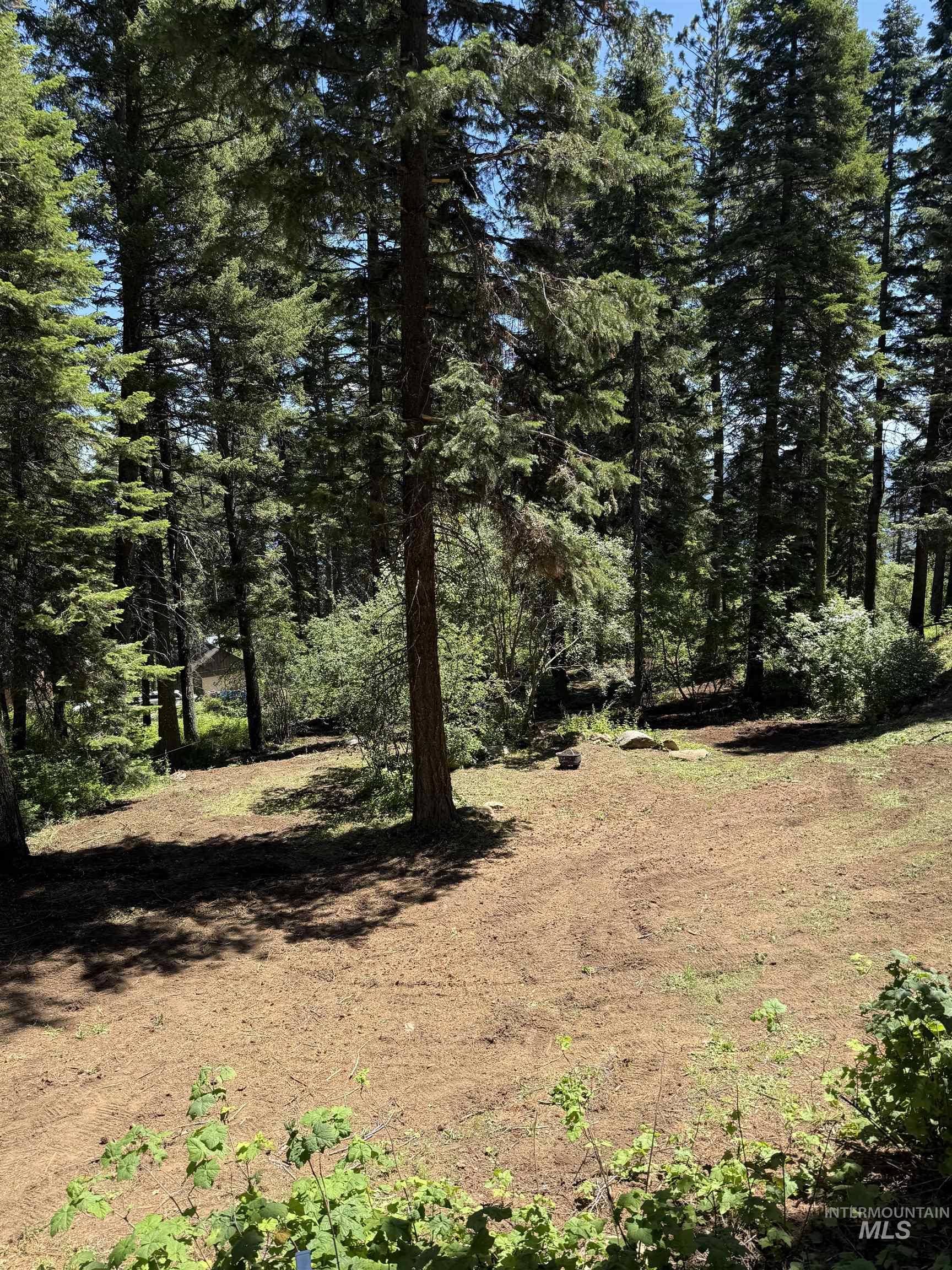 1204 Porcupine Road, Cascade, Idaho 83611, Land For Sale, Price $99,950,MLS 98982089