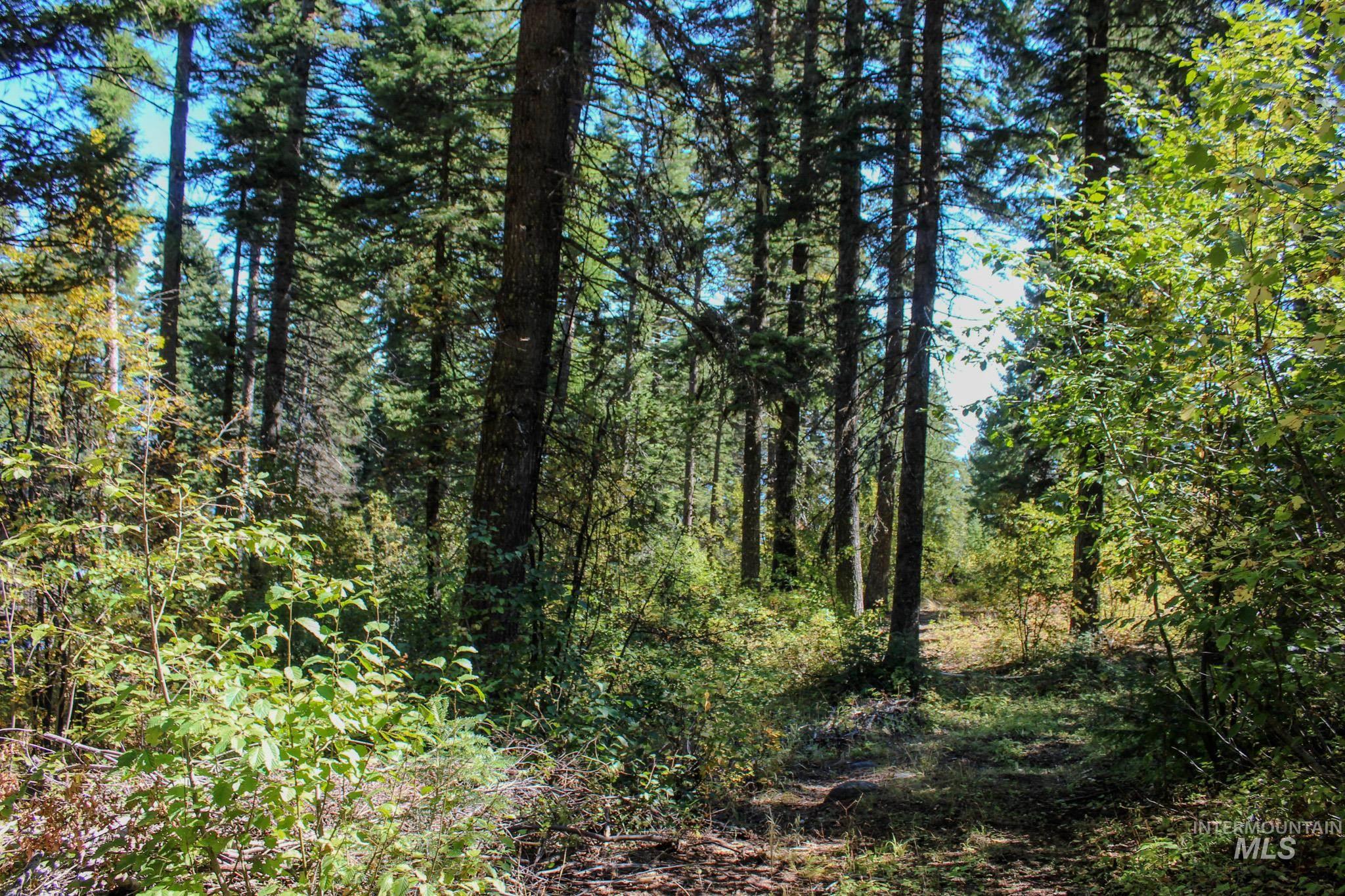 1204 Porcupine Road, Cascade, Idaho 83611, Land For Sale, Price $99,950, 98982089