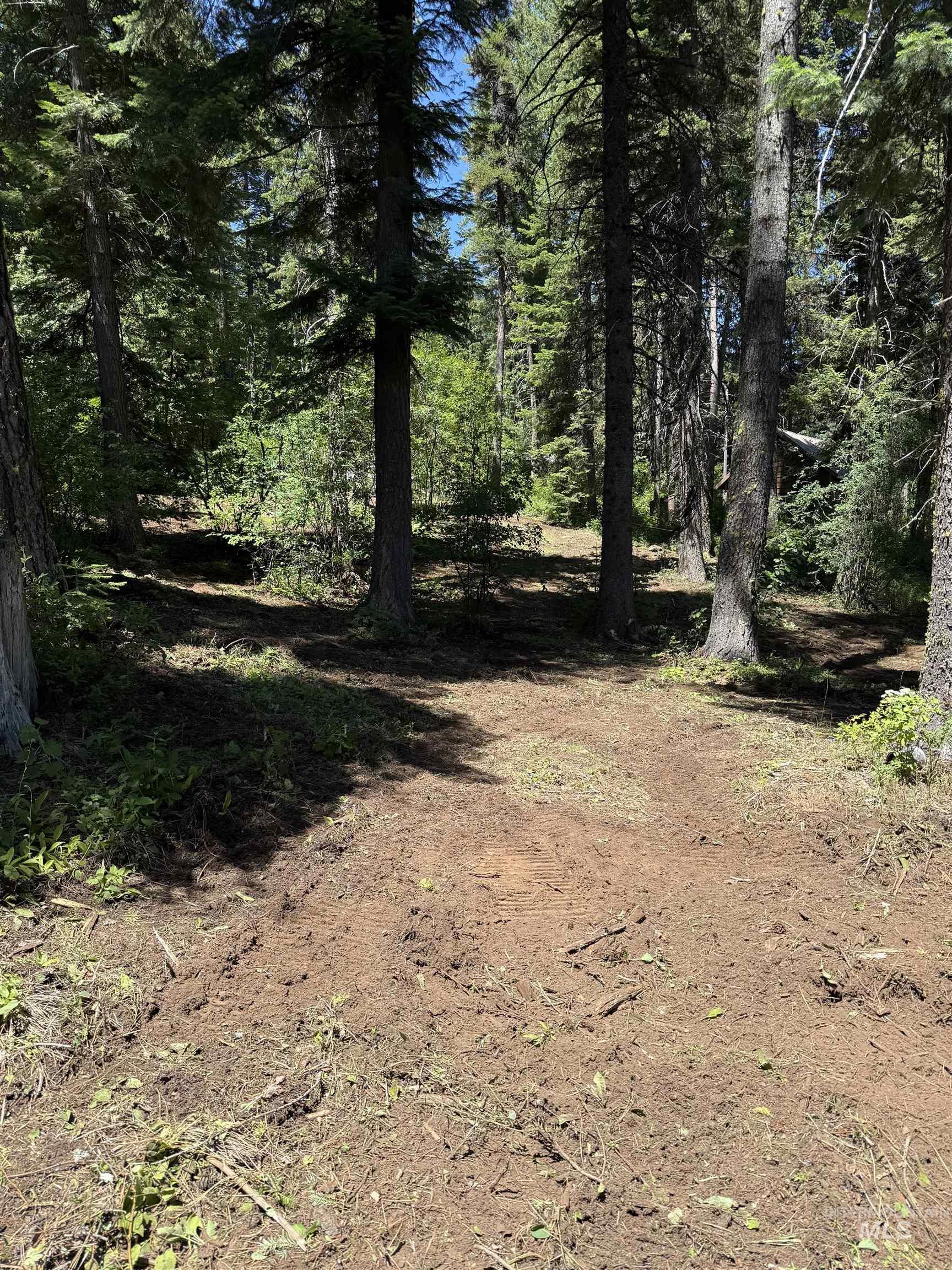 1204 Porcupine Road, Cascade, Idaho 83611, Land For Sale, Price $99,950,MLS 98982089