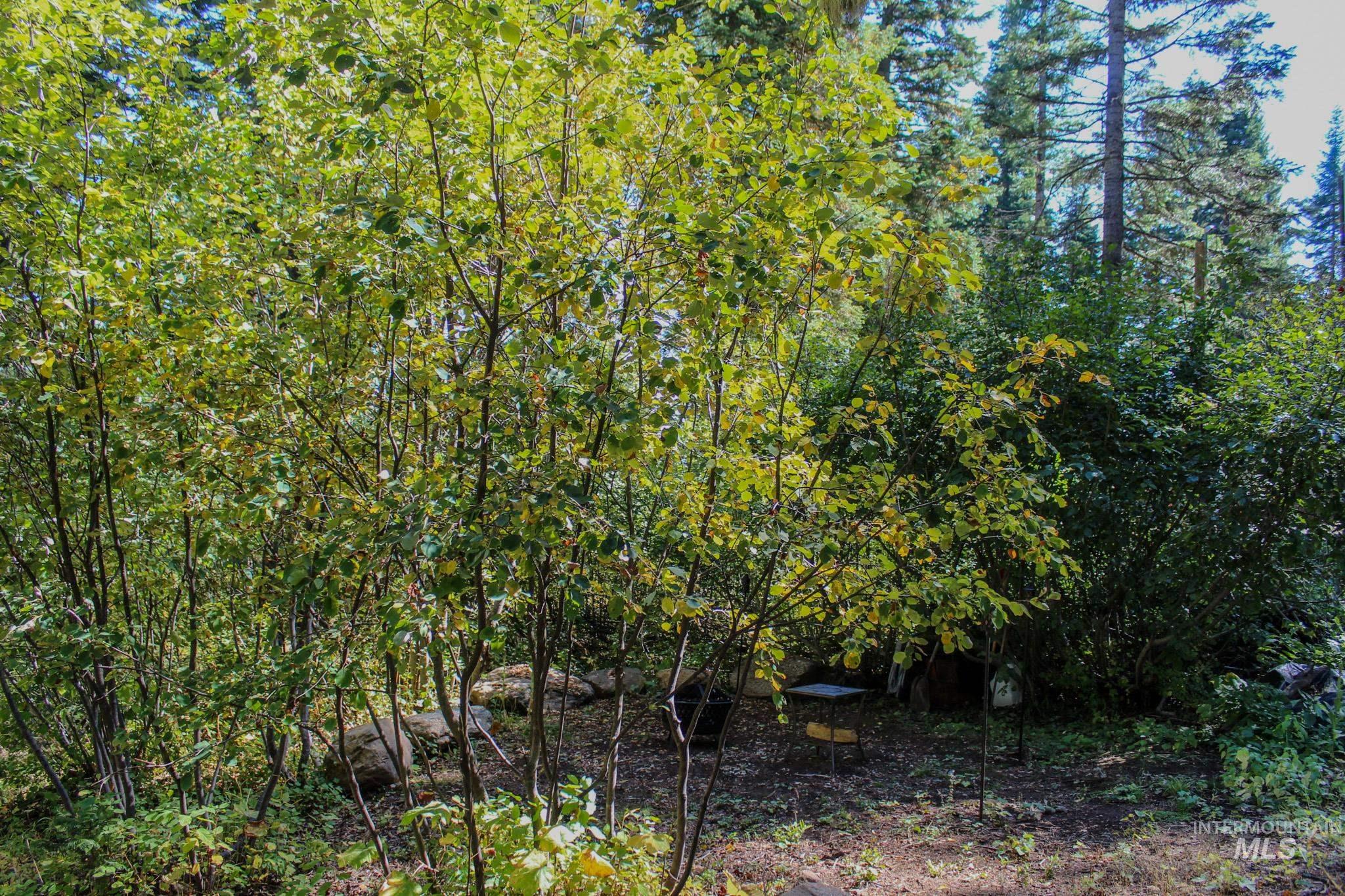 1204 Porcupine Road, Cascade, Idaho 83611, Land For Sale, Price $99,950, 98982089