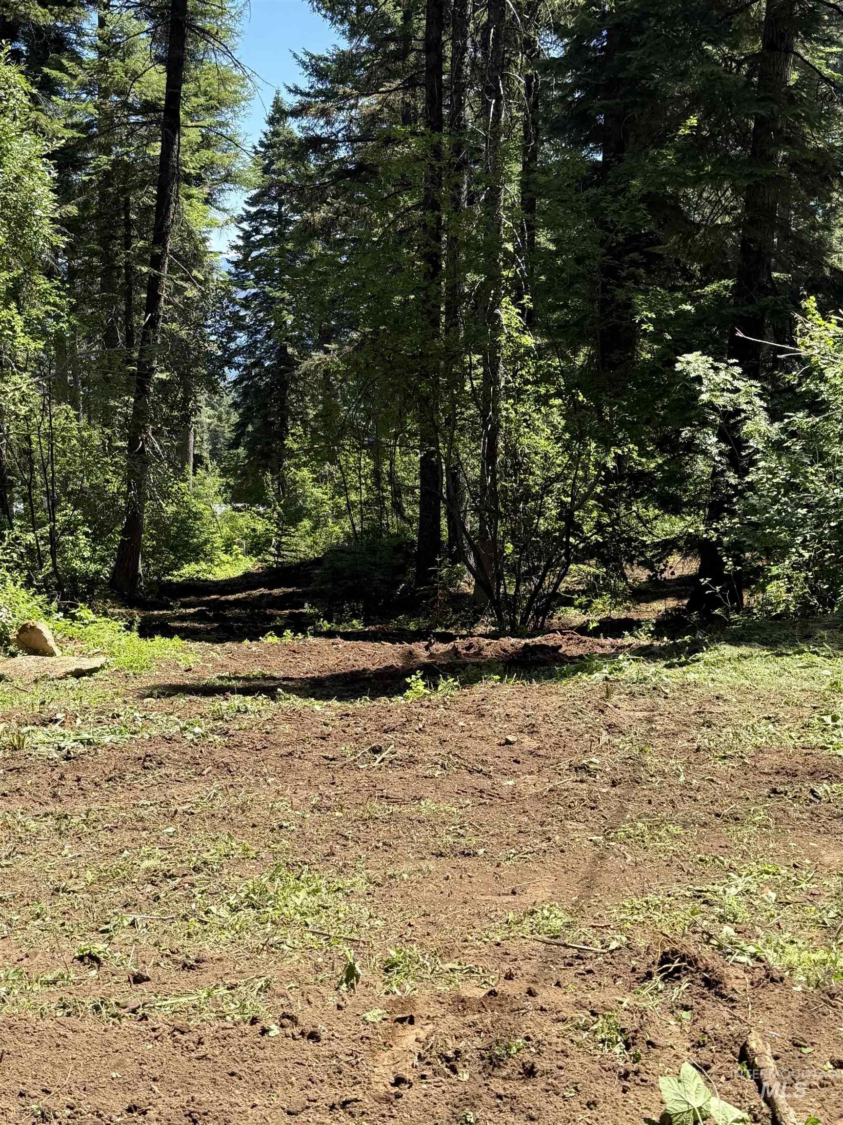 1204 Porcupine Road, Cascade, Idaho 83611, Land For Sale, Price $99,950,MLS 98982089