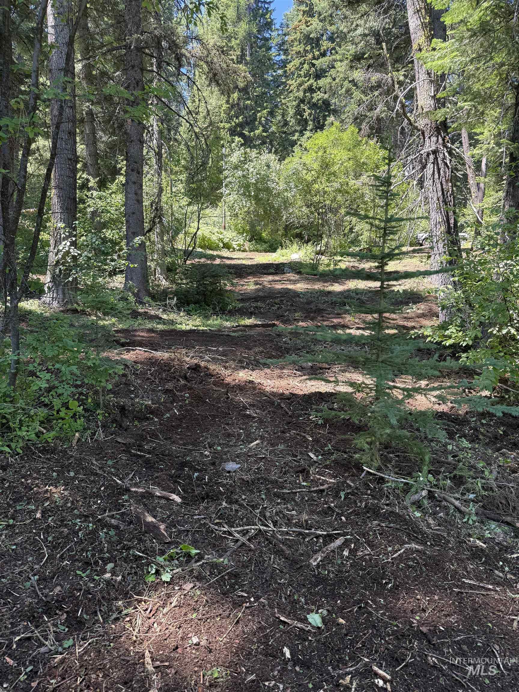 1204 Porcupine Road, Cascade, Idaho 83611, Land For Sale, Price $99,950,MLS 98982089