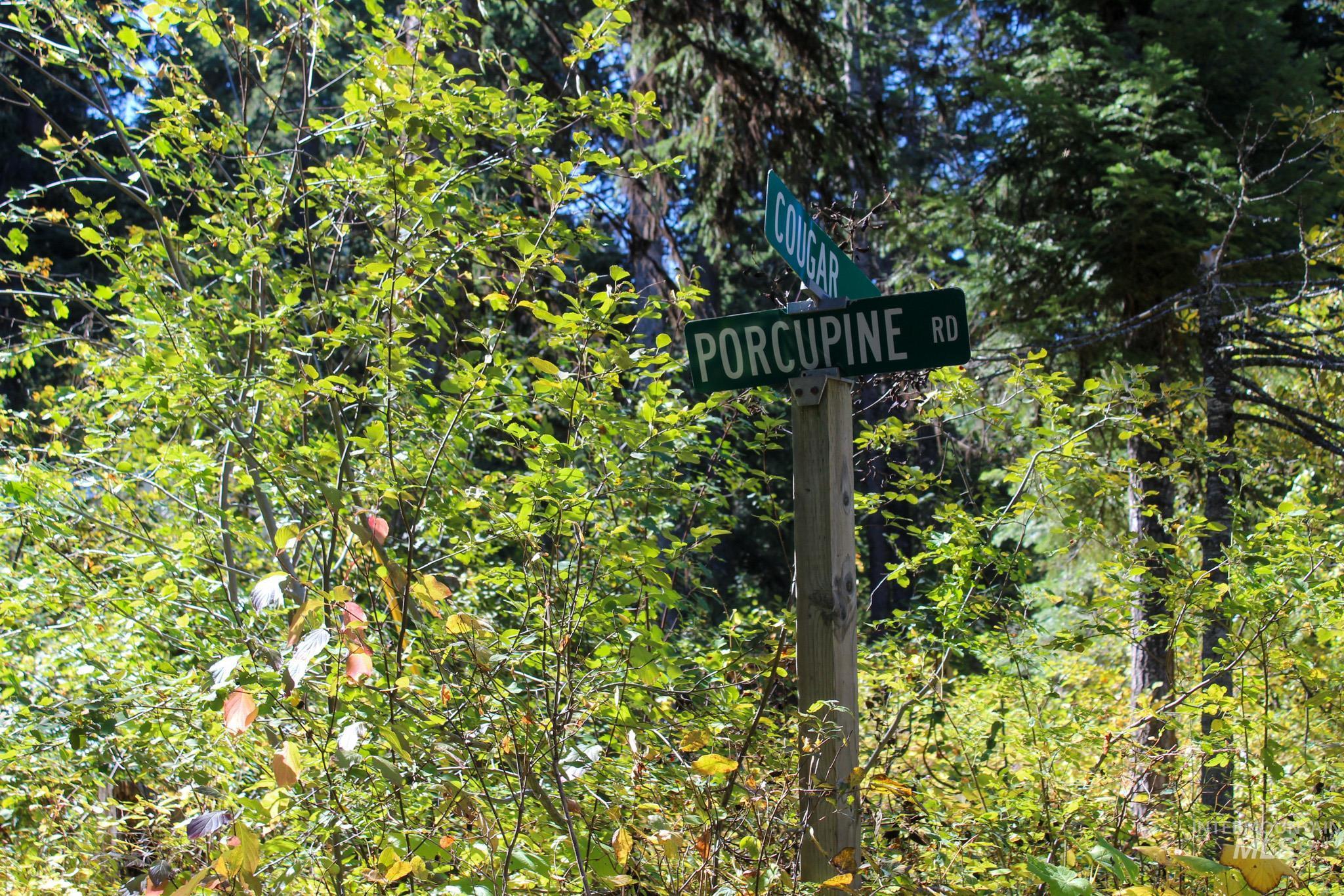 1204 Porcupine Road, Cascade, Idaho 83611, Land For Sale, Price $99,950, 98982089