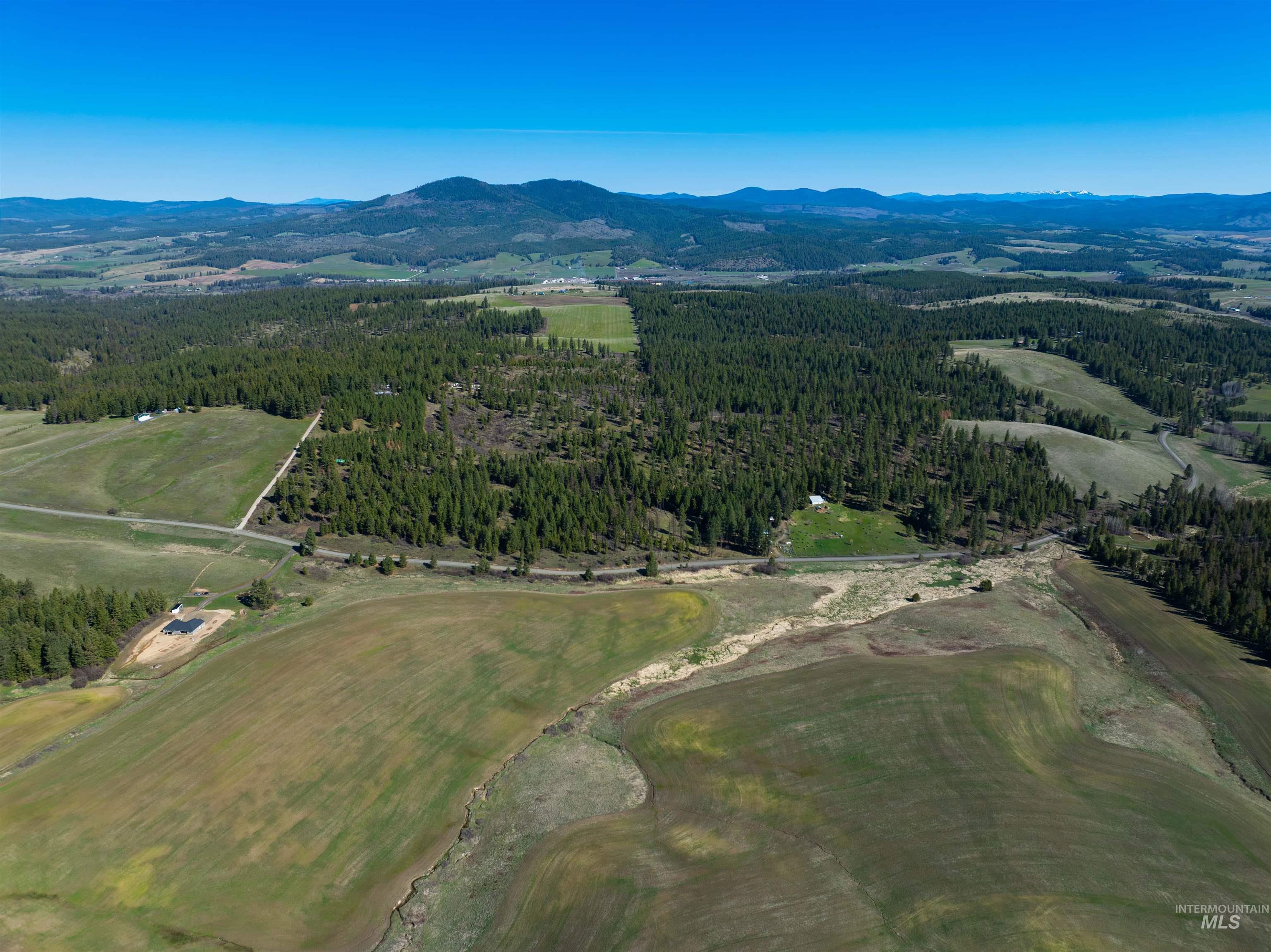 1283 Bear Creek Road, Princeton, Idaho 83857, 4 Bedrooms, 2 Bathrooms, Residential For Sale, Price $850,000,MLS 98982107