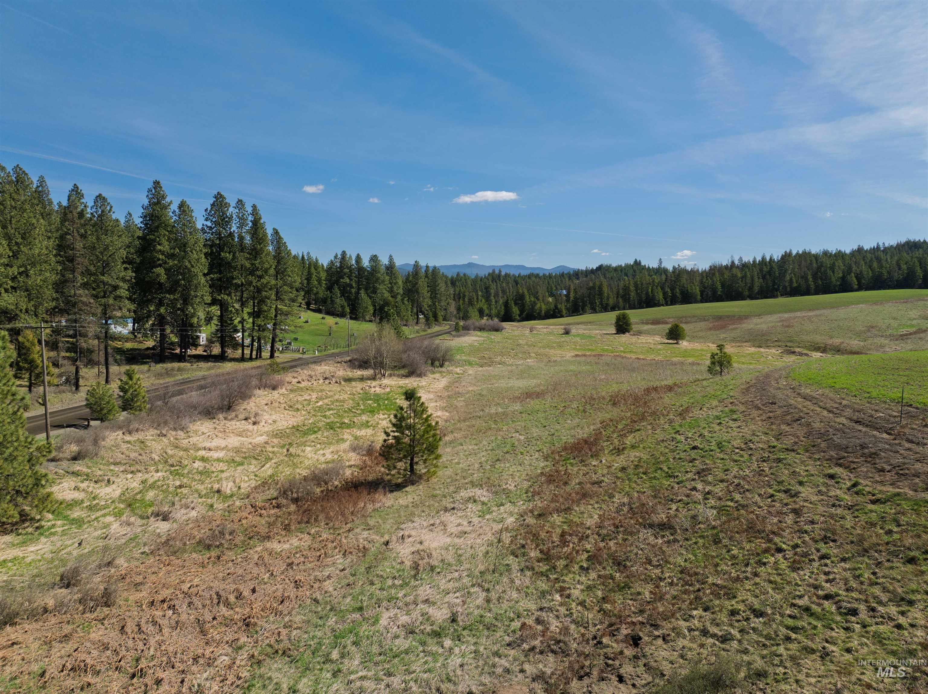 1283 Bear Creek Road, Princeton, Idaho 83857, 4 Bedrooms, 2 Bathrooms, Residential For Sale, Price $850,000,MLS 98982107