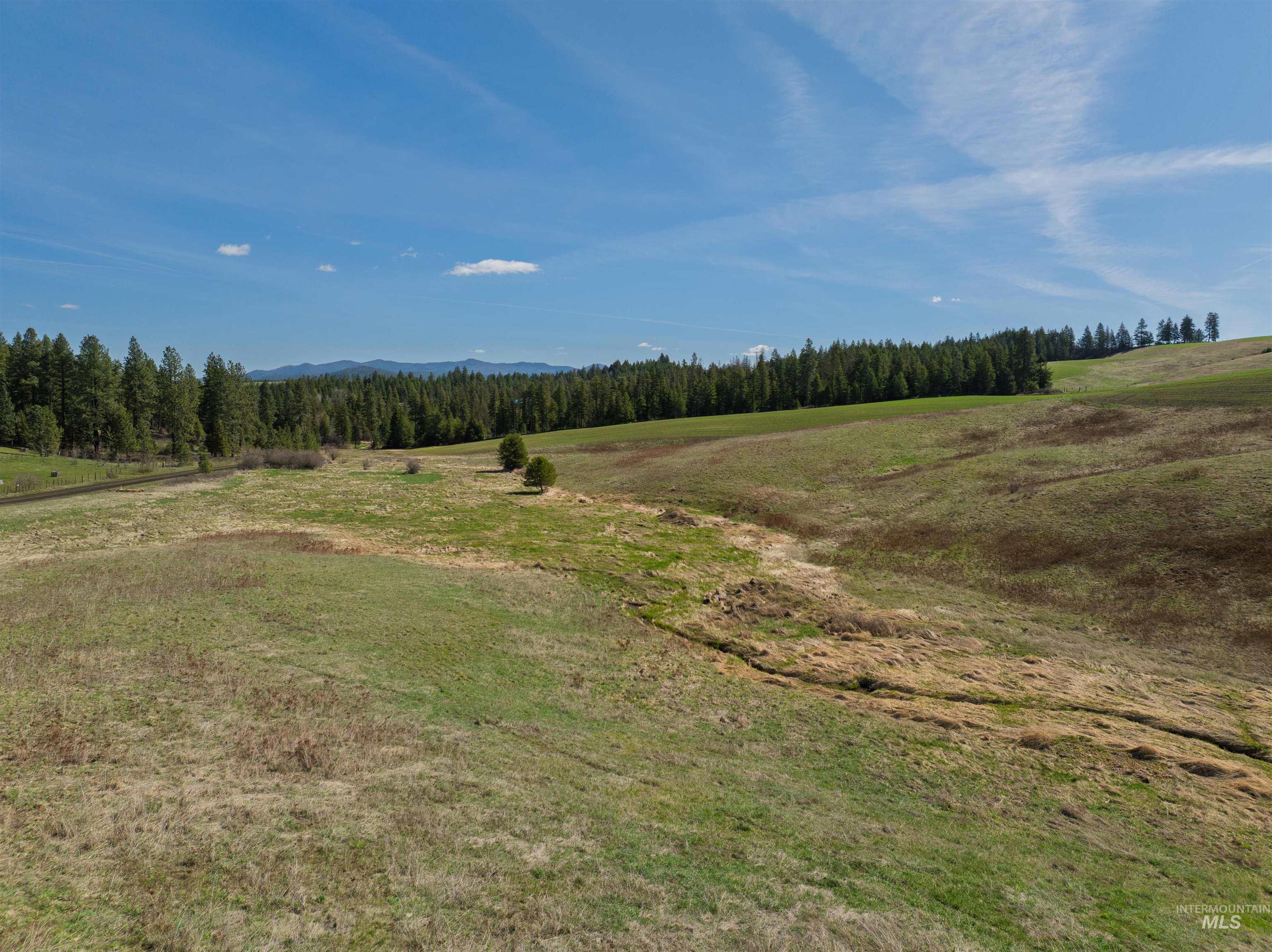 1283 Bear Creek Road, Princeton, Idaho 83857, 4 Bedrooms, 2 Bathrooms, Residential For Sale, Price $850,000,MLS 98982107