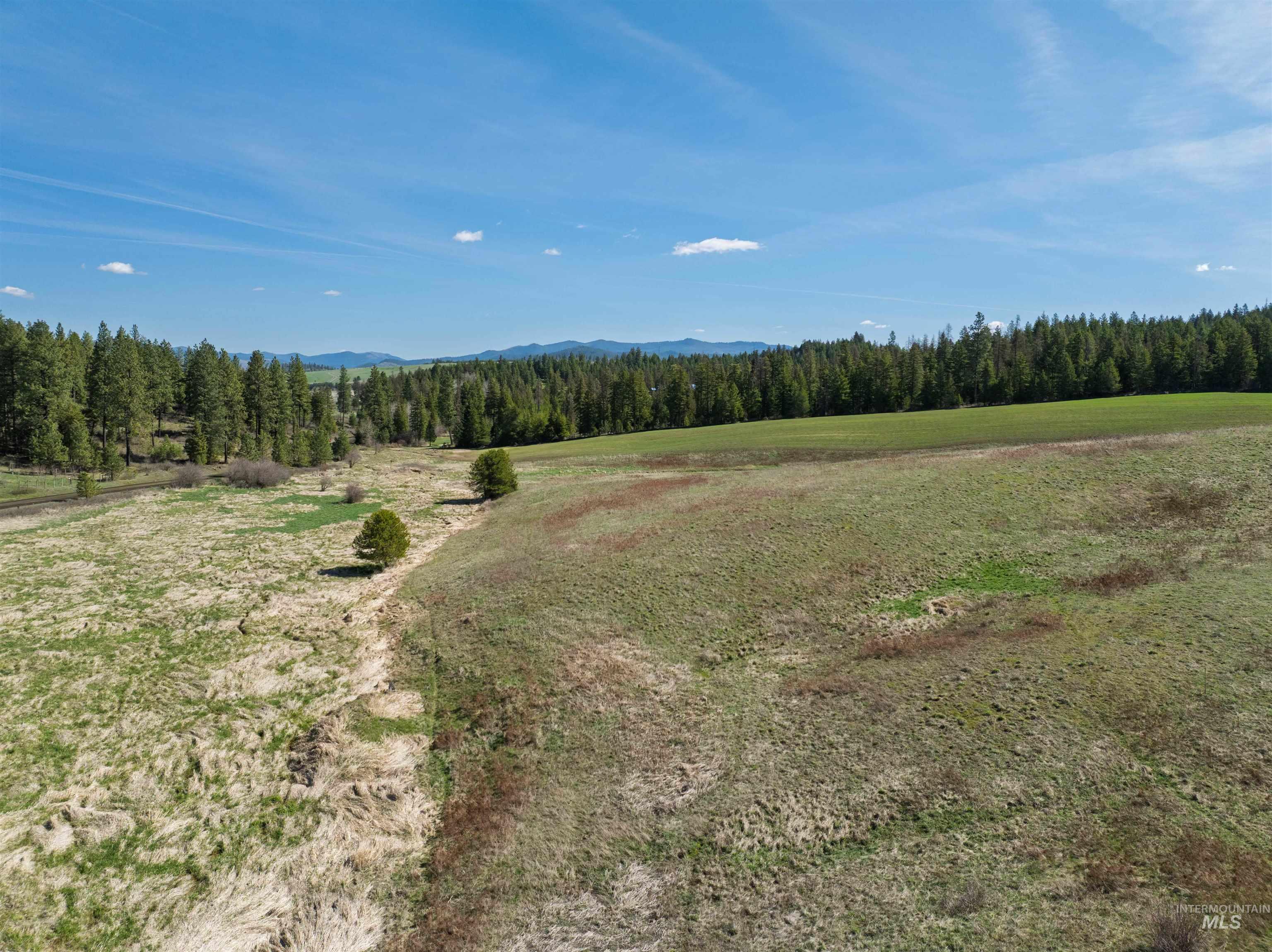 1283 Bear Creek Road, Princeton, Idaho 83857, 4 Bedrooms, 2 Bathrooms, Residential For Sale, Price $850,000,MLS 98982107