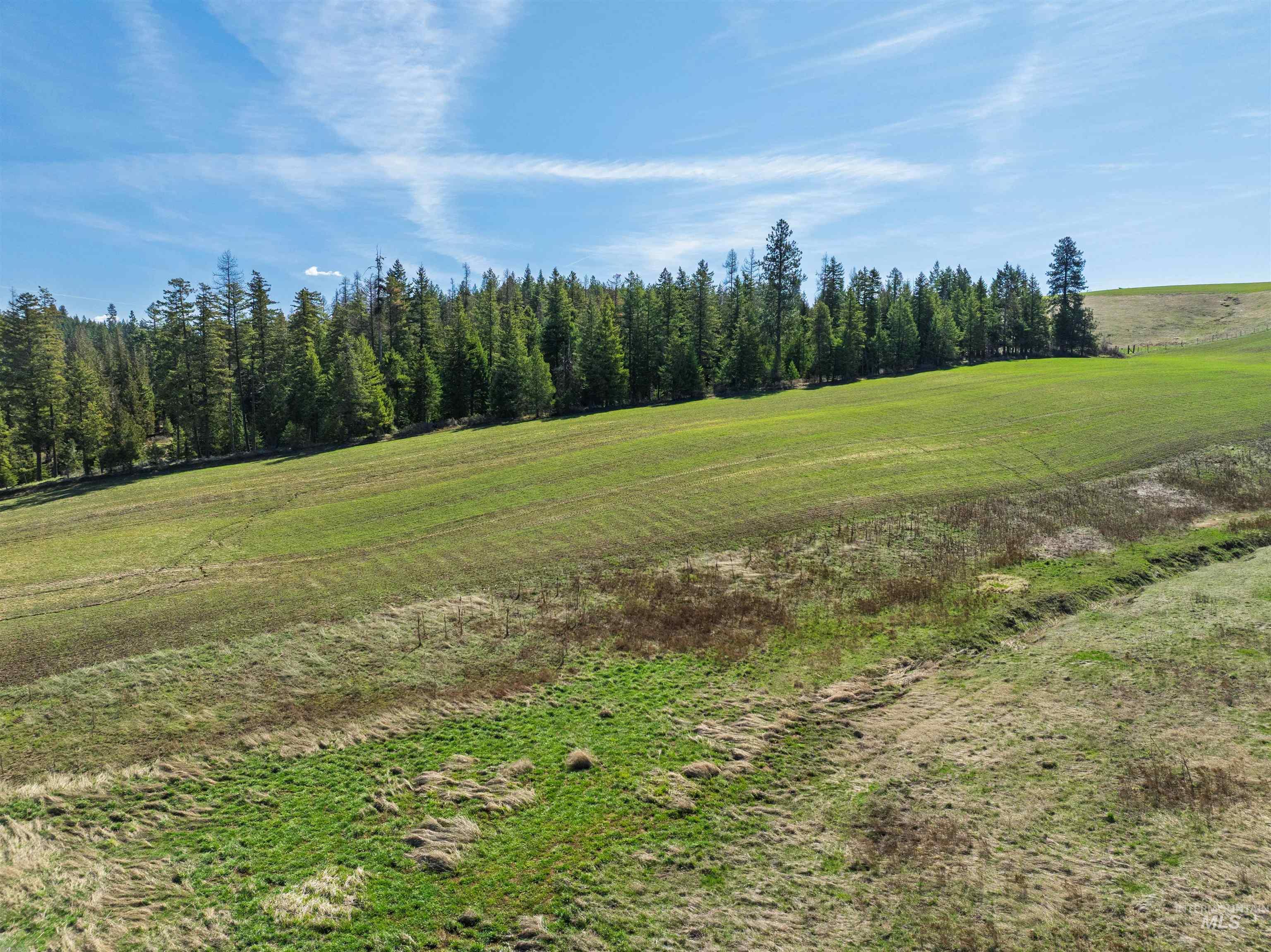 1283 Bear Creek Road, Princeton, Idaho 83857, 4 Bedrooms, 2 Bathrooms, Residential For Sale, Price $850,000,MLS 98982107