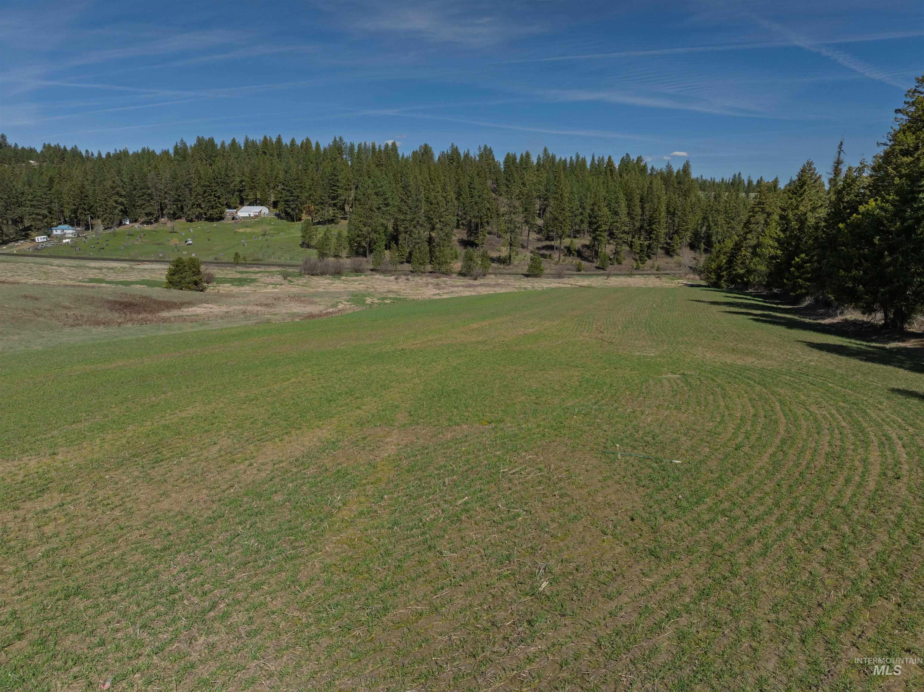 1283 Bear Creek Road, Princeton, Idaho 83857, 4 Bedrooms, 2 Bathrooms, Residential For Sale, Price $850,000,MLS 98982107