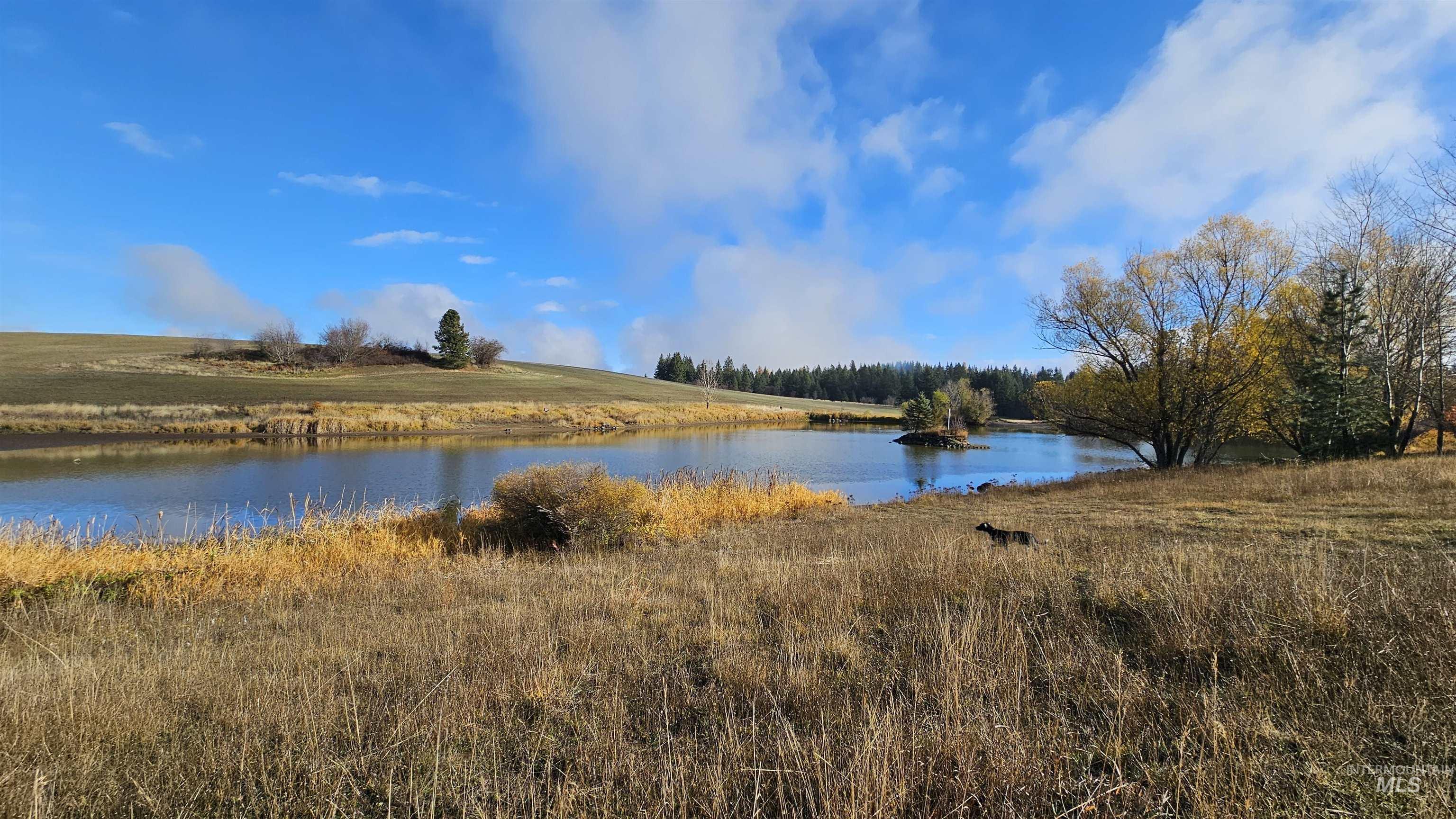3592 Freeman Creek Rd, Lenore, Idaho 83541, 3 Bedrooms, 3 Bathrooms, Farm & Ranch For Sale, Price $2,350,000, 98982108