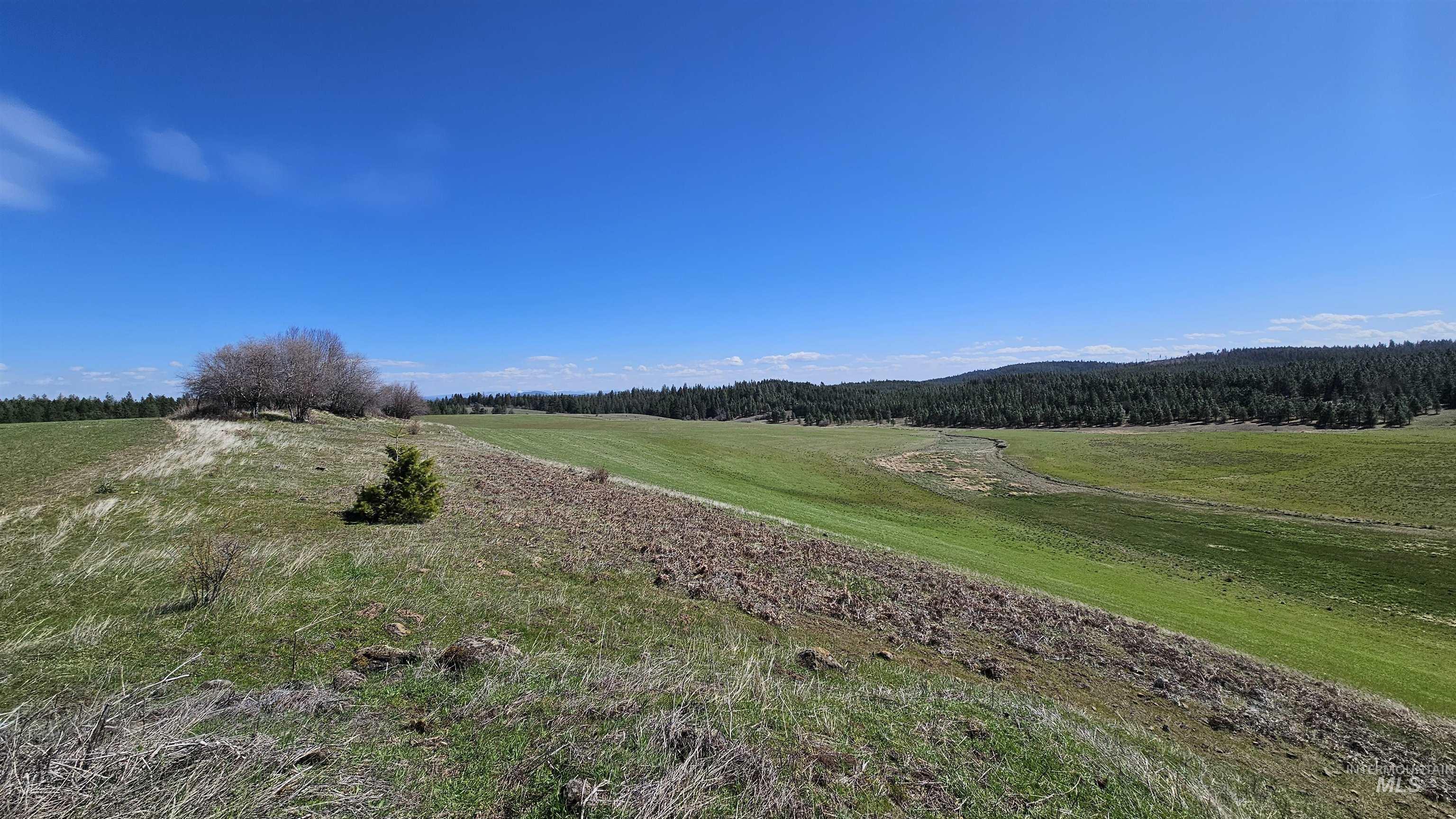 3592 Freeman Creek Rd, Lenore, Idaho 83541, 3 Bedrooms, 3 Bathrooms, Farm & Ranch For Sale, Price $2,350,000, 98982108