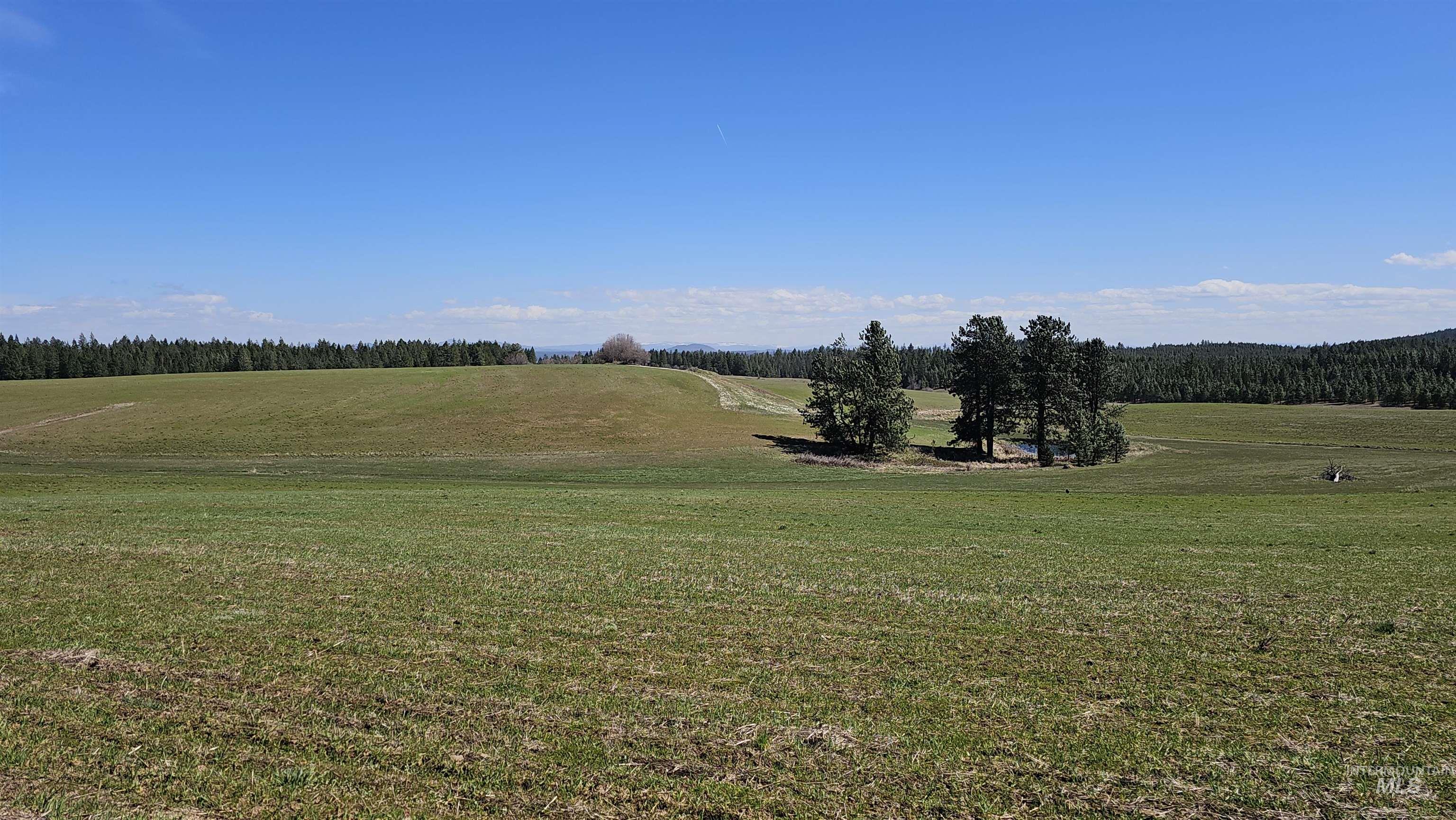 3592 Freeman Creek Rd, Lenore, Idaho 83541, 3 Bedrooms, 3 Bathrooms, Farm & Ranch For Sale, Price $2,350,000, 98982108