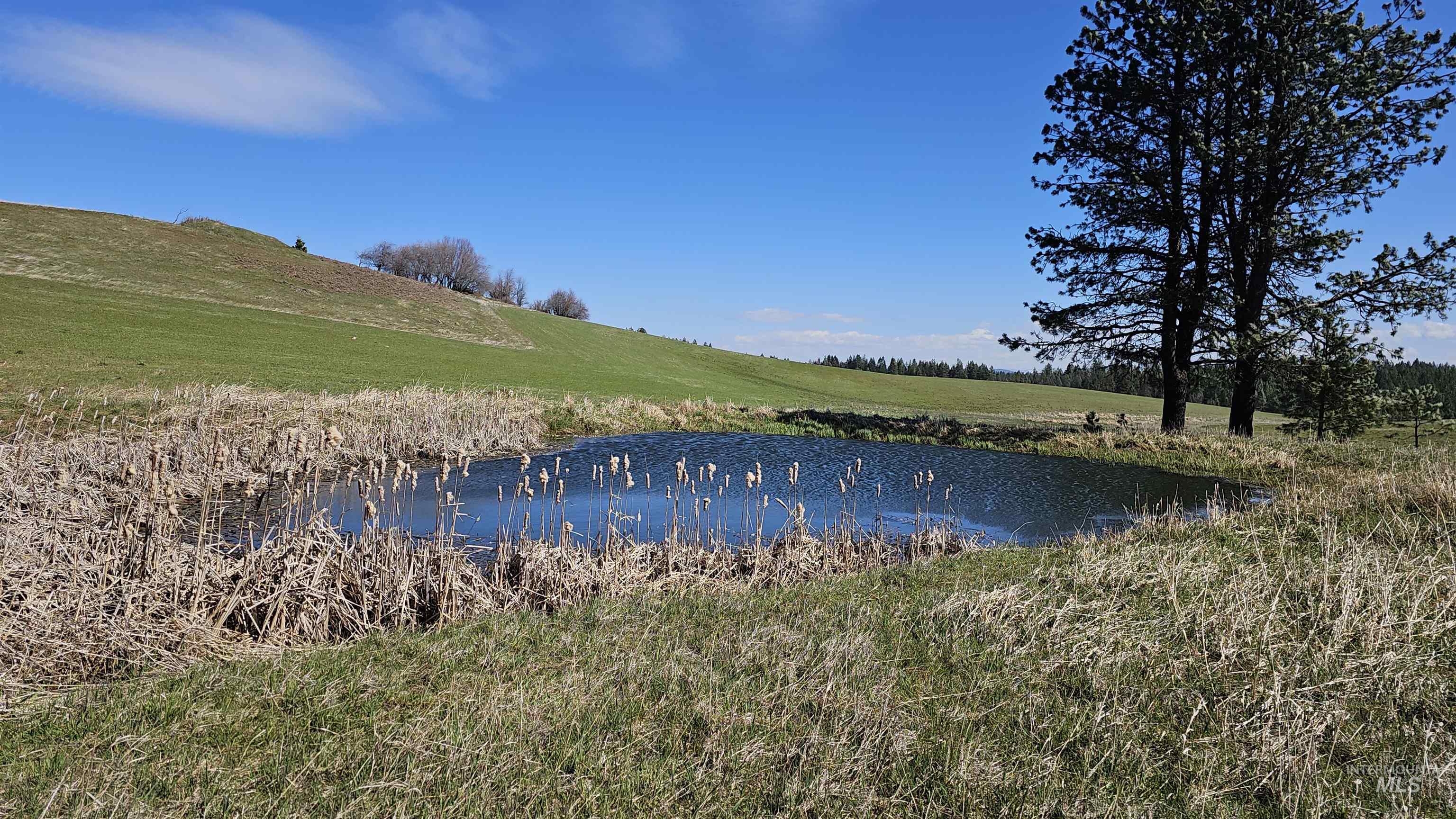 3592 Freeman Creek Rd, Lenore, Idaho 83541, 3 Bedrooms, 3 Bathrooms, Farm & Ranch For Sale, Price $2,350,000, 98982108