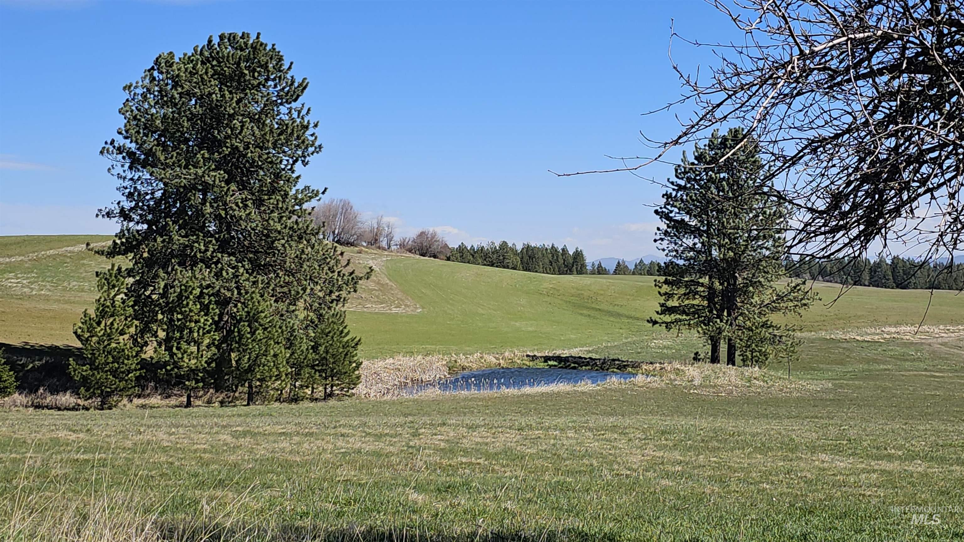 3592 Freeman Creek Rd, Lenore, Idaho 83541, 3 Bedrooms, 3 Bathrooms, Farm & Ranch For Sale, Price $2,350,000, 98982108