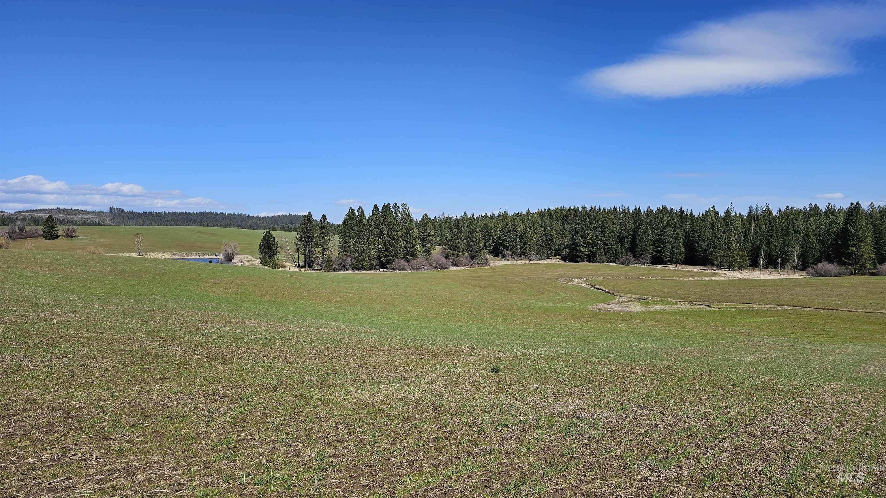 3592 Freeman Creek Rd, Lenore, Idaho 83541, 3 Bedrooms, 3 Bathrooms, Farm & Ranch For Sale, Price $2,350,000, 98982108