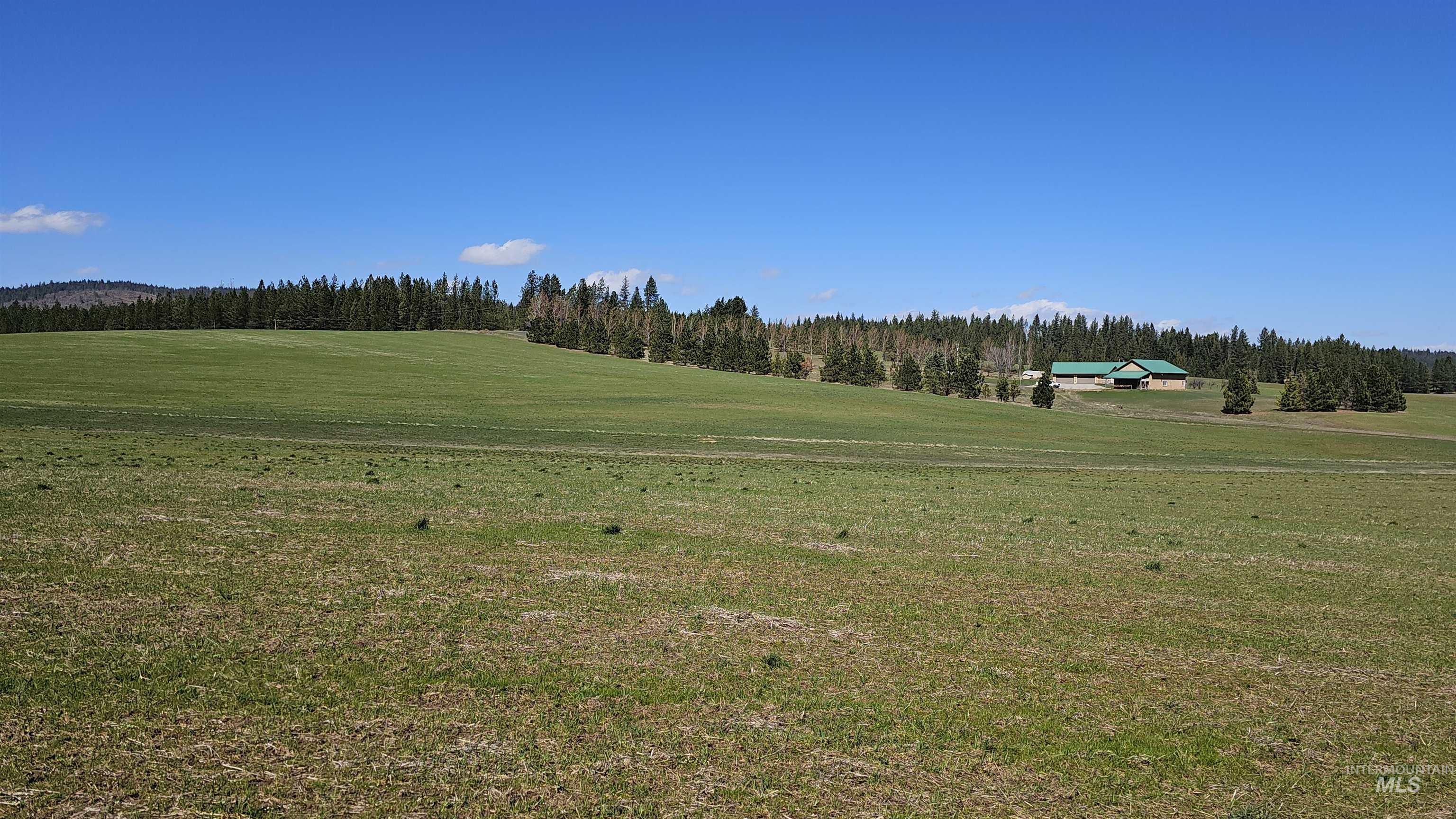 3592 Freeman Creek Rd, Lenore, Idaho 83541, 3 Bedrooms, 3 Bathrooms, Farm & Ranch For Sale, Price $2,350,000, 98982108