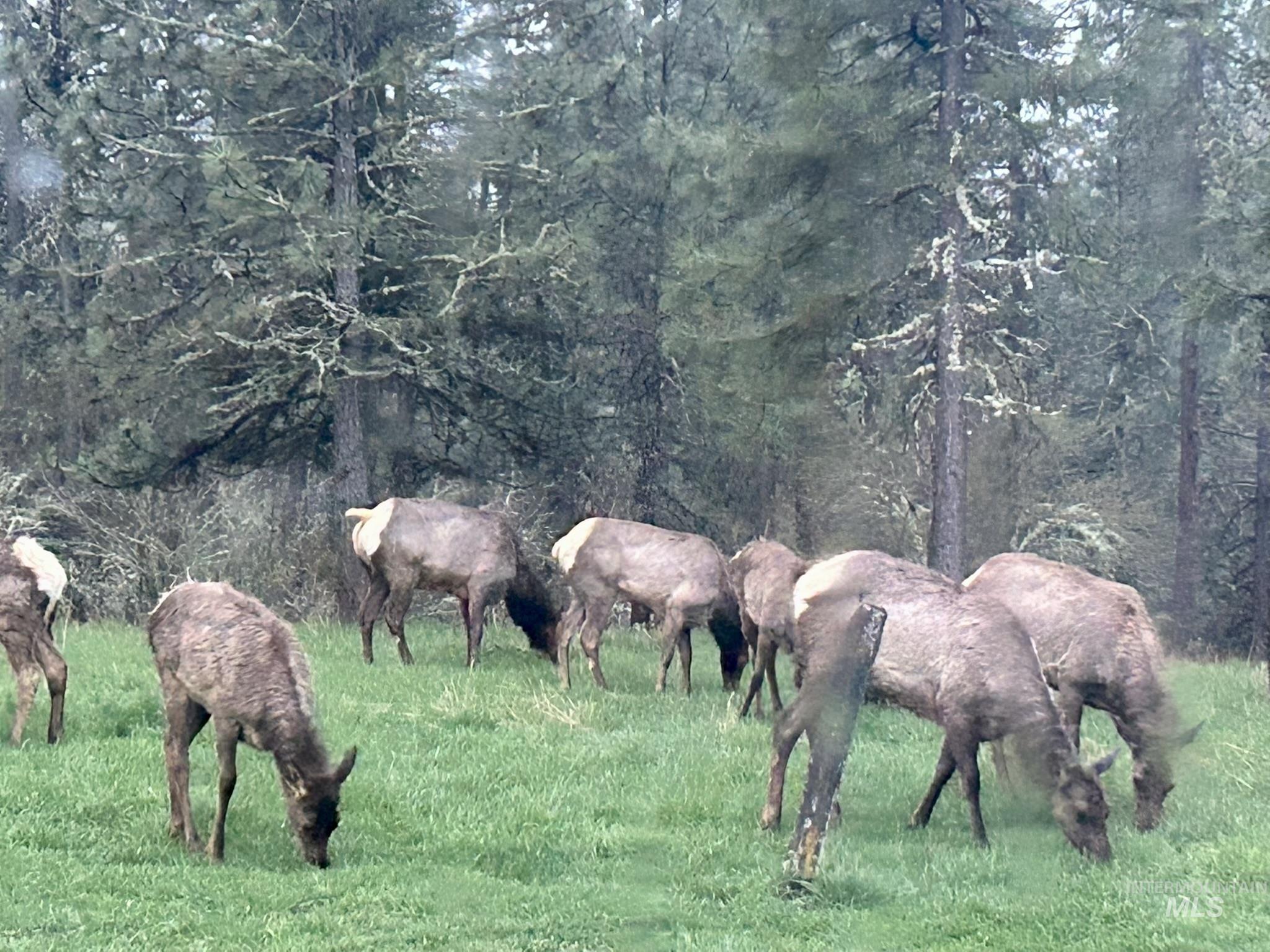 637 Leitch Creek Rd, Kooskia, Idaho 83539, 3 Bedrooms, 2.5 Bathrooms, Residential For Sale, Price $745,000,MLS 98982115