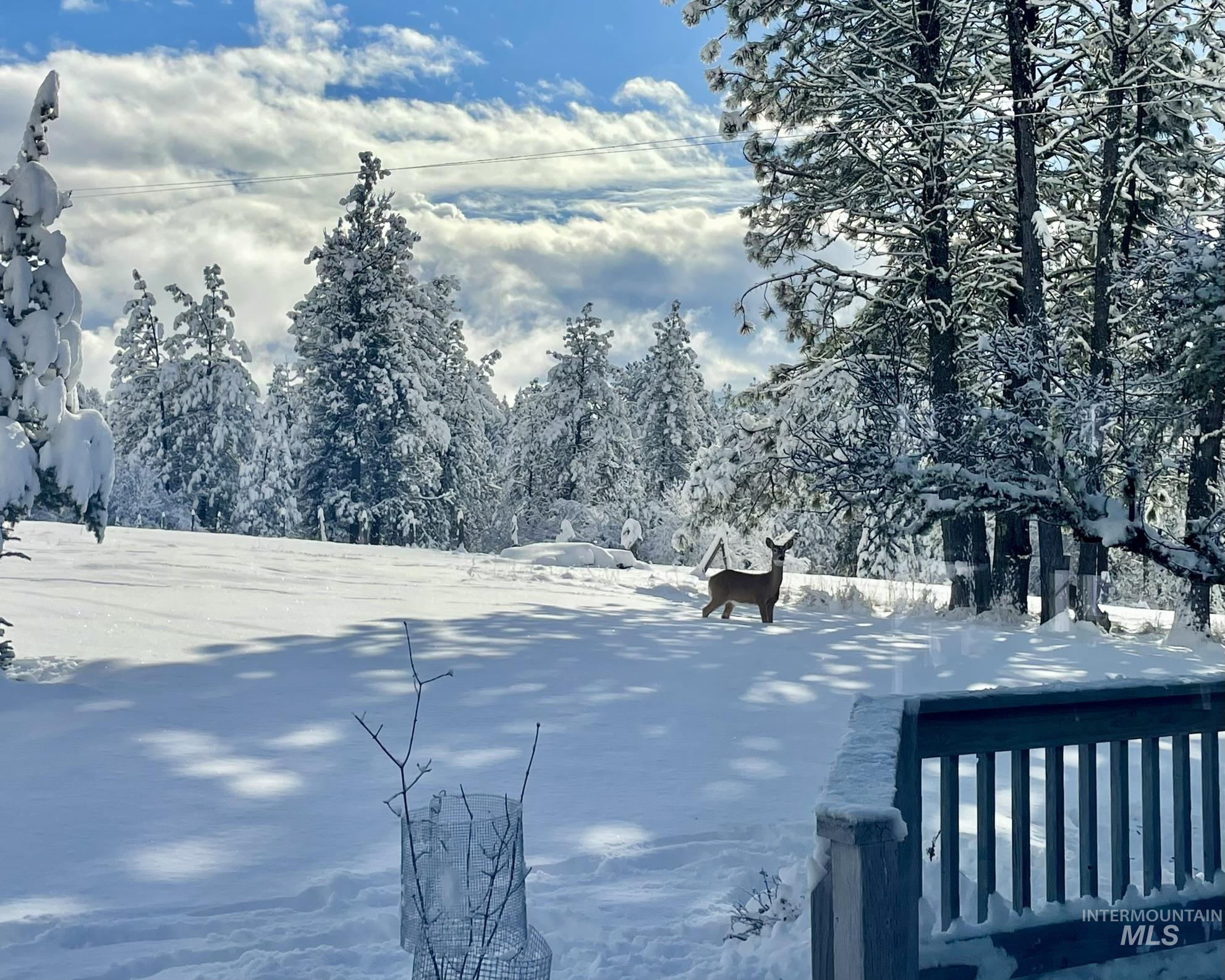 637 Leitch Creek Rd, Kooskia, Idaho 83539, 3 Bedrooms, 2.5 Bathrooms, Residential For Sale, Price $745,000,MLS 98982115