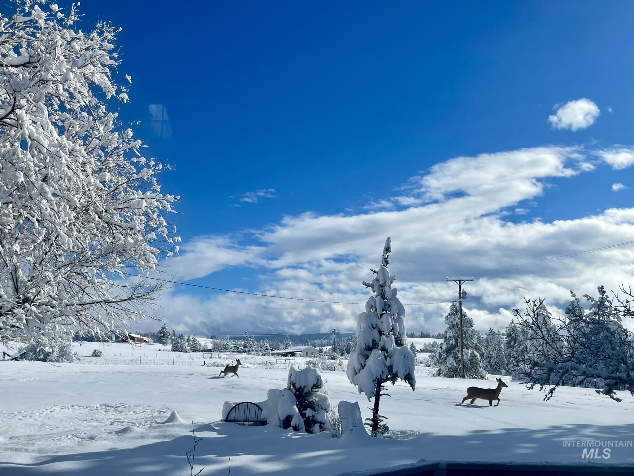 637 Leitch Creek Rd, Kooskia, Idaho 83539, 3 Bedrooms, 2.5 Bathrooms, Residential For Sale, Price $745,000,MLS 98982115