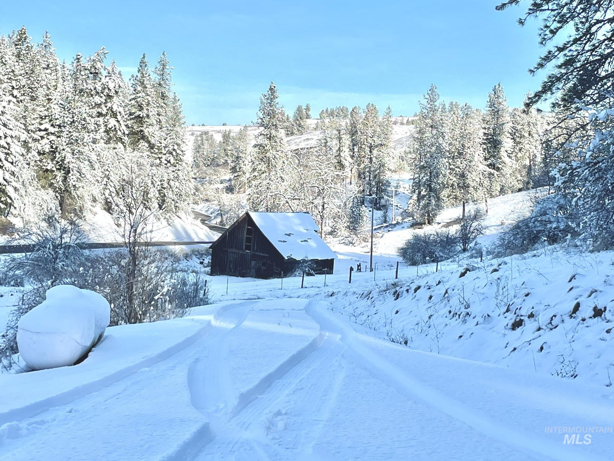 611 Leitch Creek Rd, Kooskia, Idaho 83539, 1 Bedroom, 1 Bathroom, Residential For Sale, Price $425,000,MLS 98982120