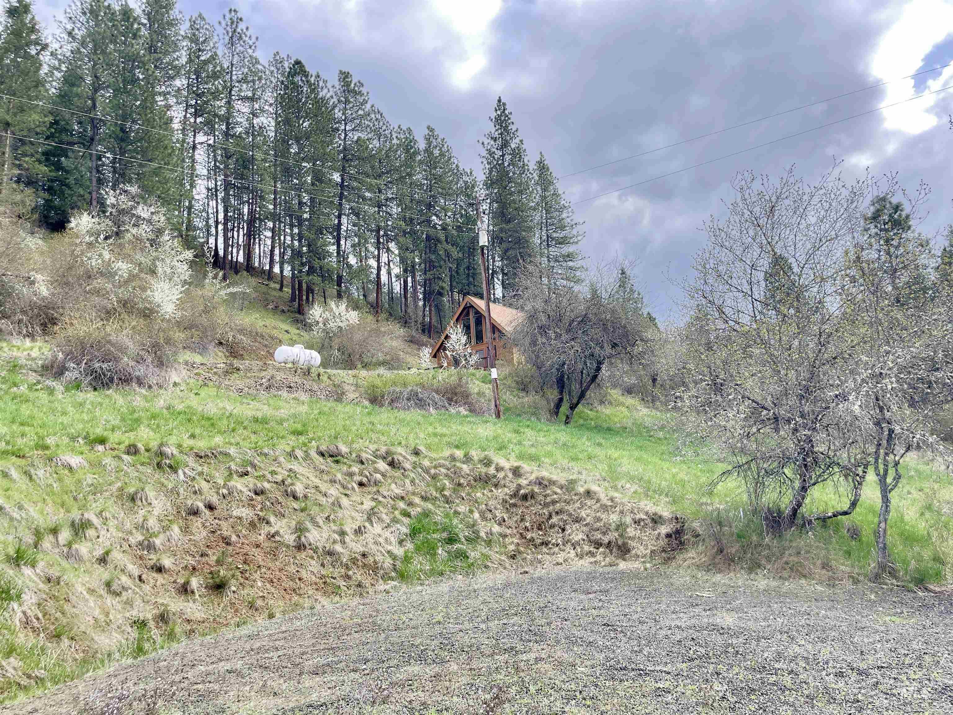 611 Leitch Creek Rd, Kooskia, Idaho 83539, 1 Bedroom, 1 Bathroom, Residential For Sale, Price $425,000,MLS 98982120