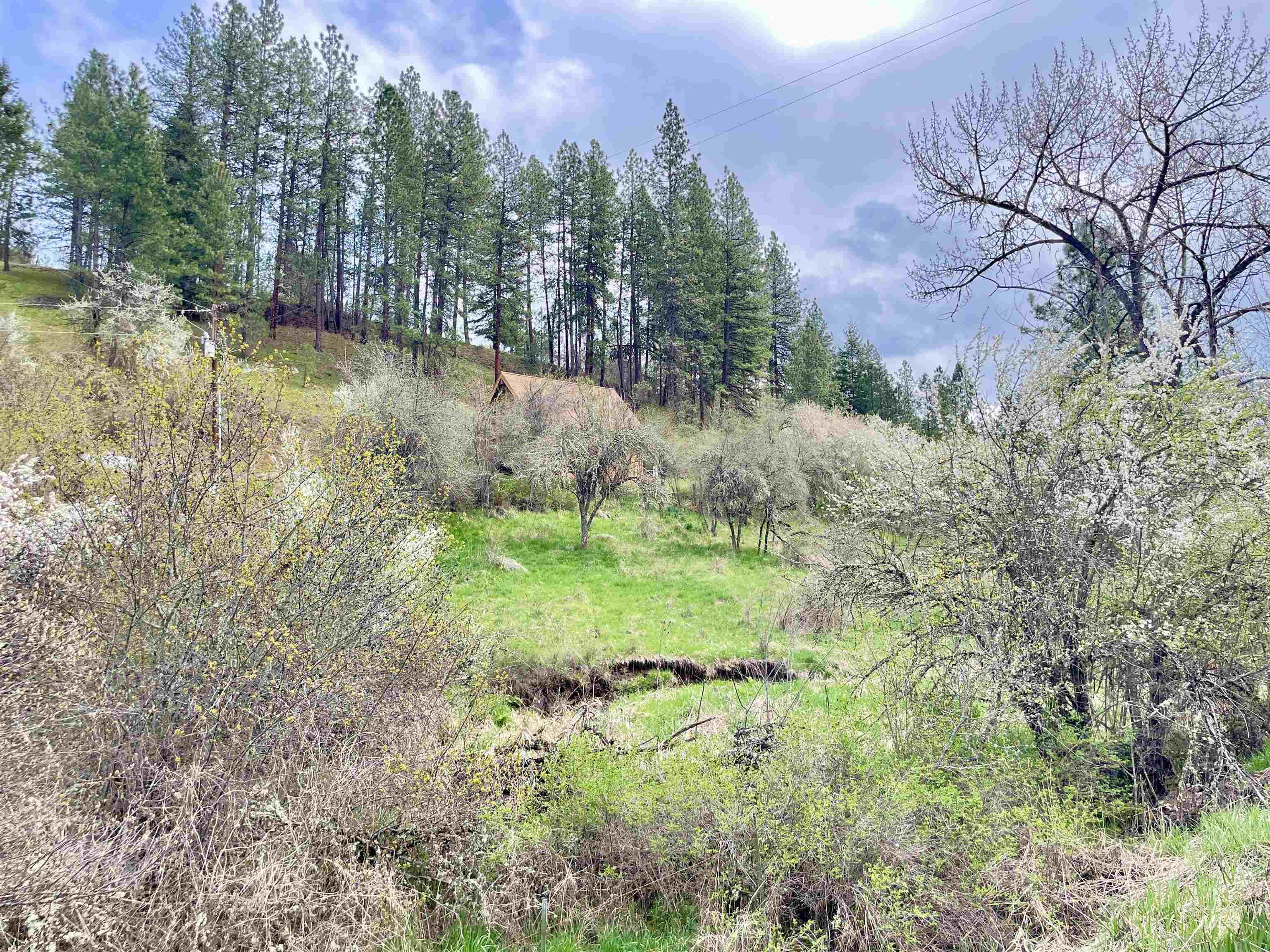 611 Leitch Creek Rd, Kooskia, Idaho 83539, 1 Bedroom, 1 Bathroom, Residential For Sale, Price $425,000,MLS 98982120