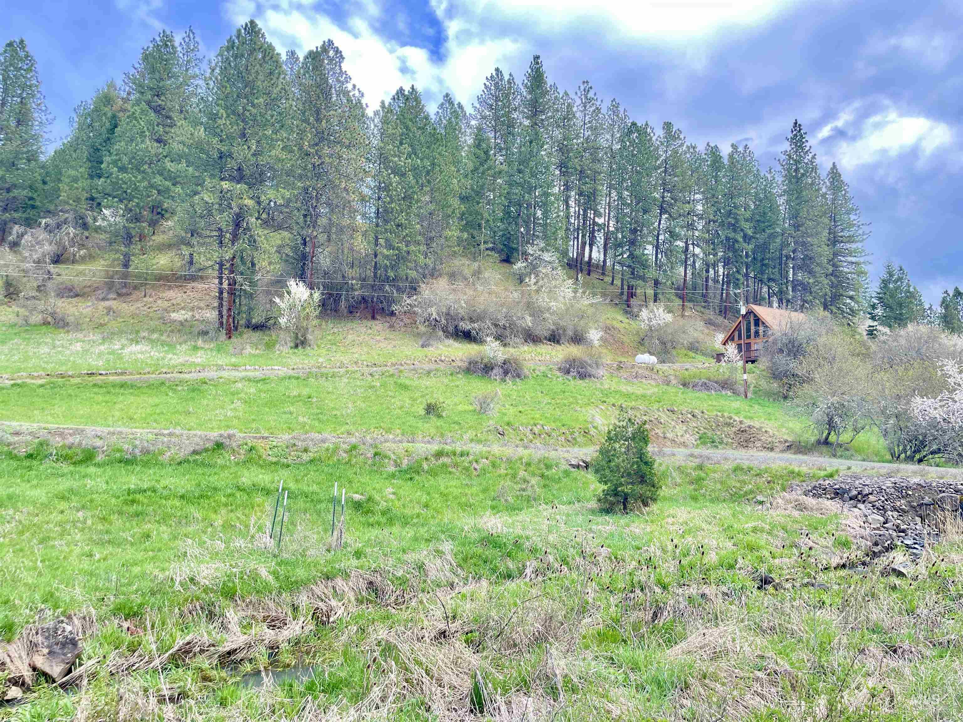 611 Leitch Creek Rd, Kooskia, Idaho 83539, 1 Bedroom, 1 Bathroom, Residential For Sale, Price $425,000,MLS 98982120