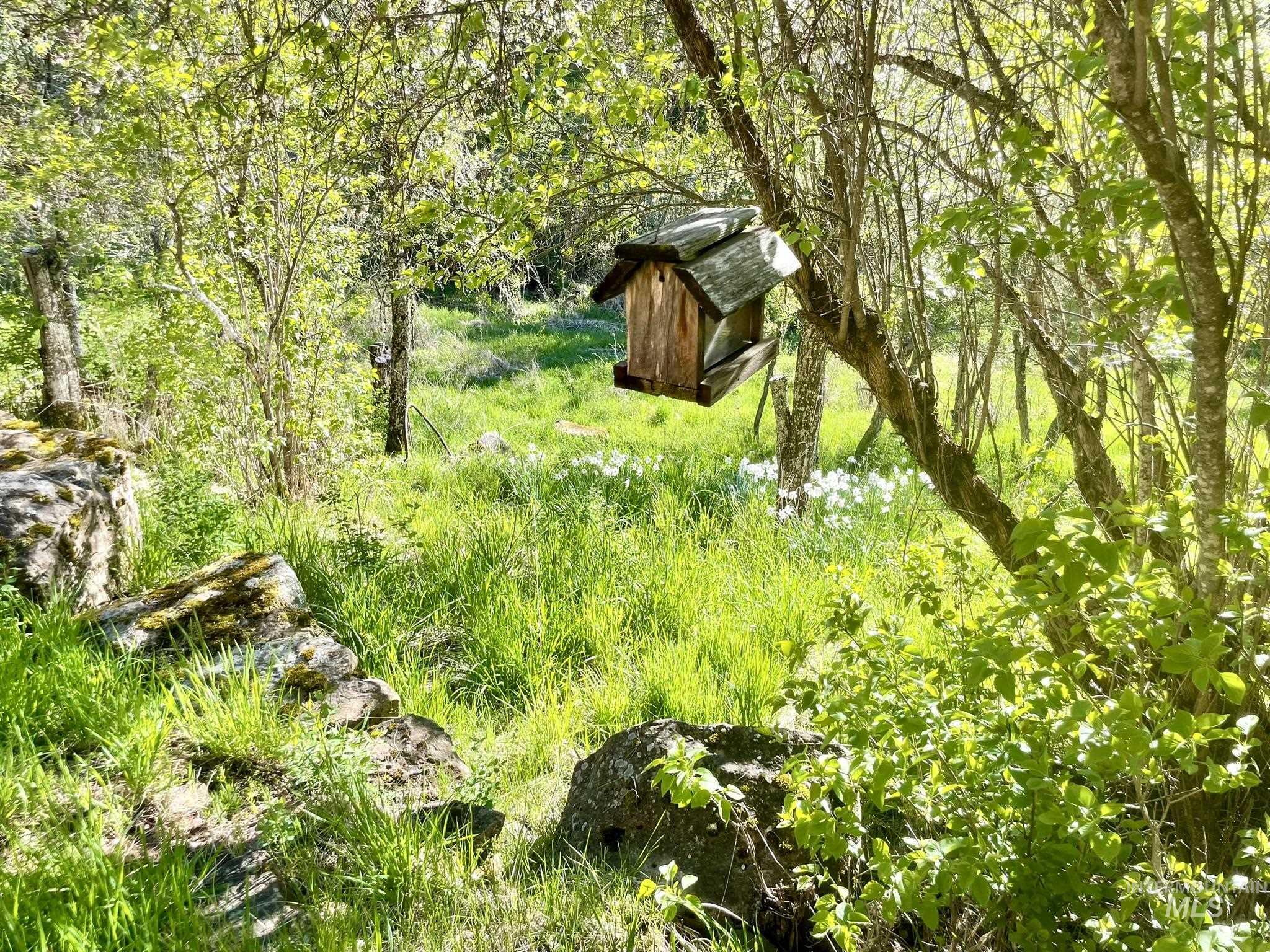 611 Leitch Creek Rd, Kooskia, Idaho 83539, 1 Bedroom, 1 Bathroom, Residential For Sale, Price $425,000,MLS 98982120