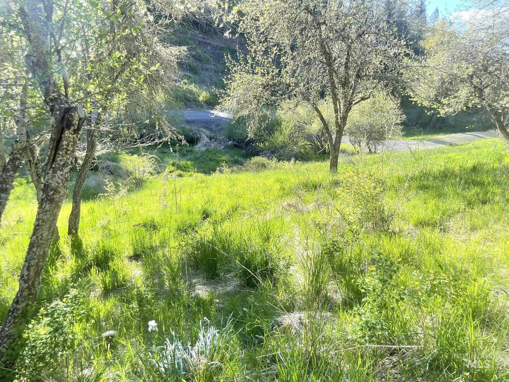 611 Leitch Creek Rd, Kooskia, Idaho 83539, 1 Bedroom, 1 Bathroom, Residential For Sale, Price $425,000,MLS 98982120