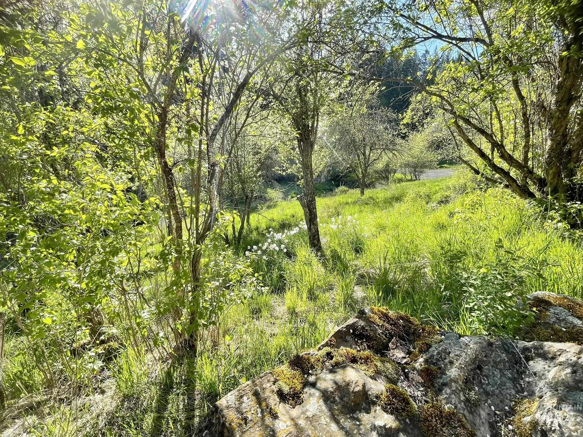 611 Leitch Creek Rd, Kooskia, Idaho 83539, 1 Bedroom, 1 Bathroom, Residential For Sale, Price $425,000,MLS 98982120