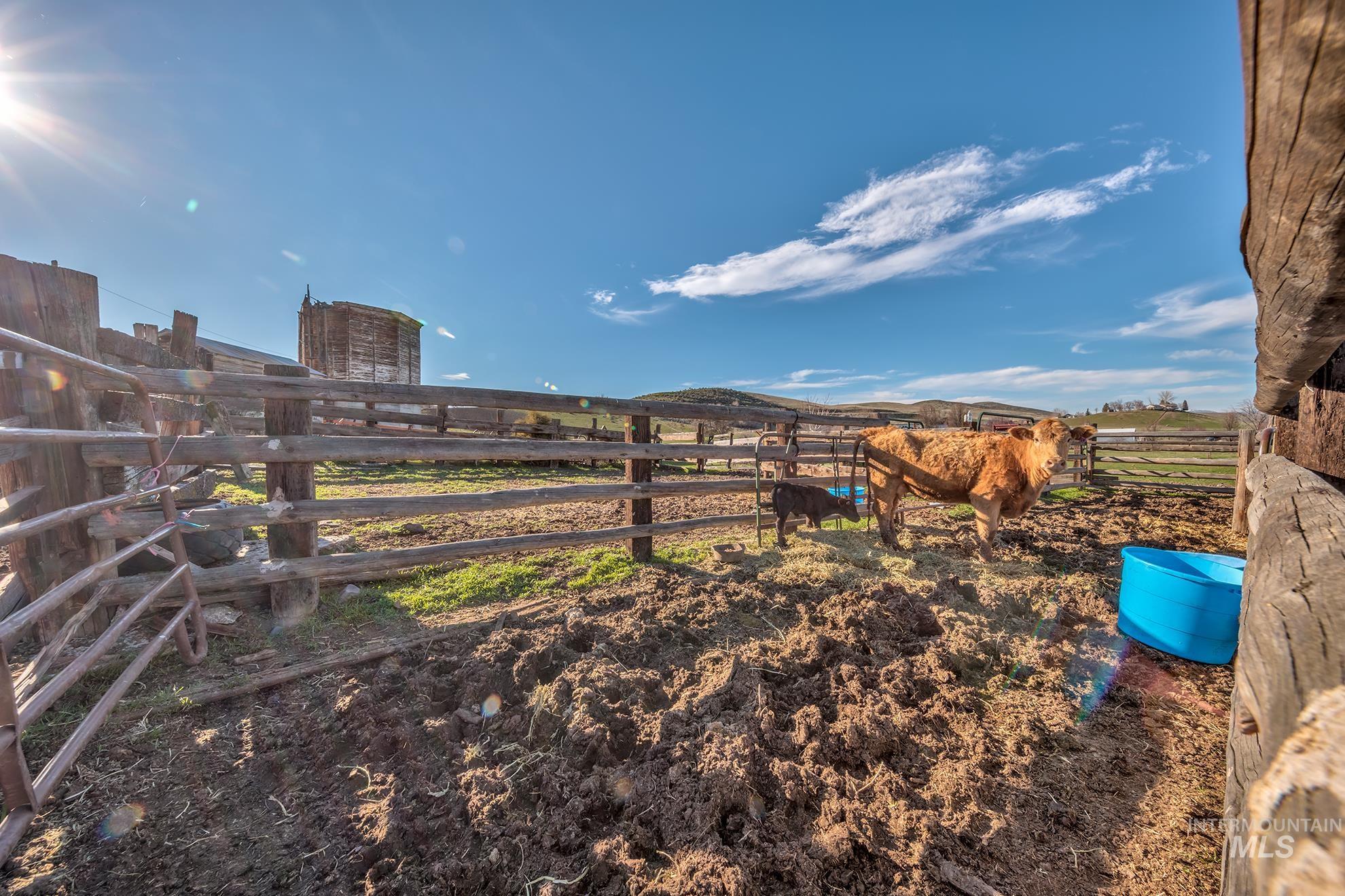 1365 HWY 95, Weiser, Idaho 83672, 3 Bedrooms, 2 Bathrooms, Residential For Sale, Price $545,000, 98982124