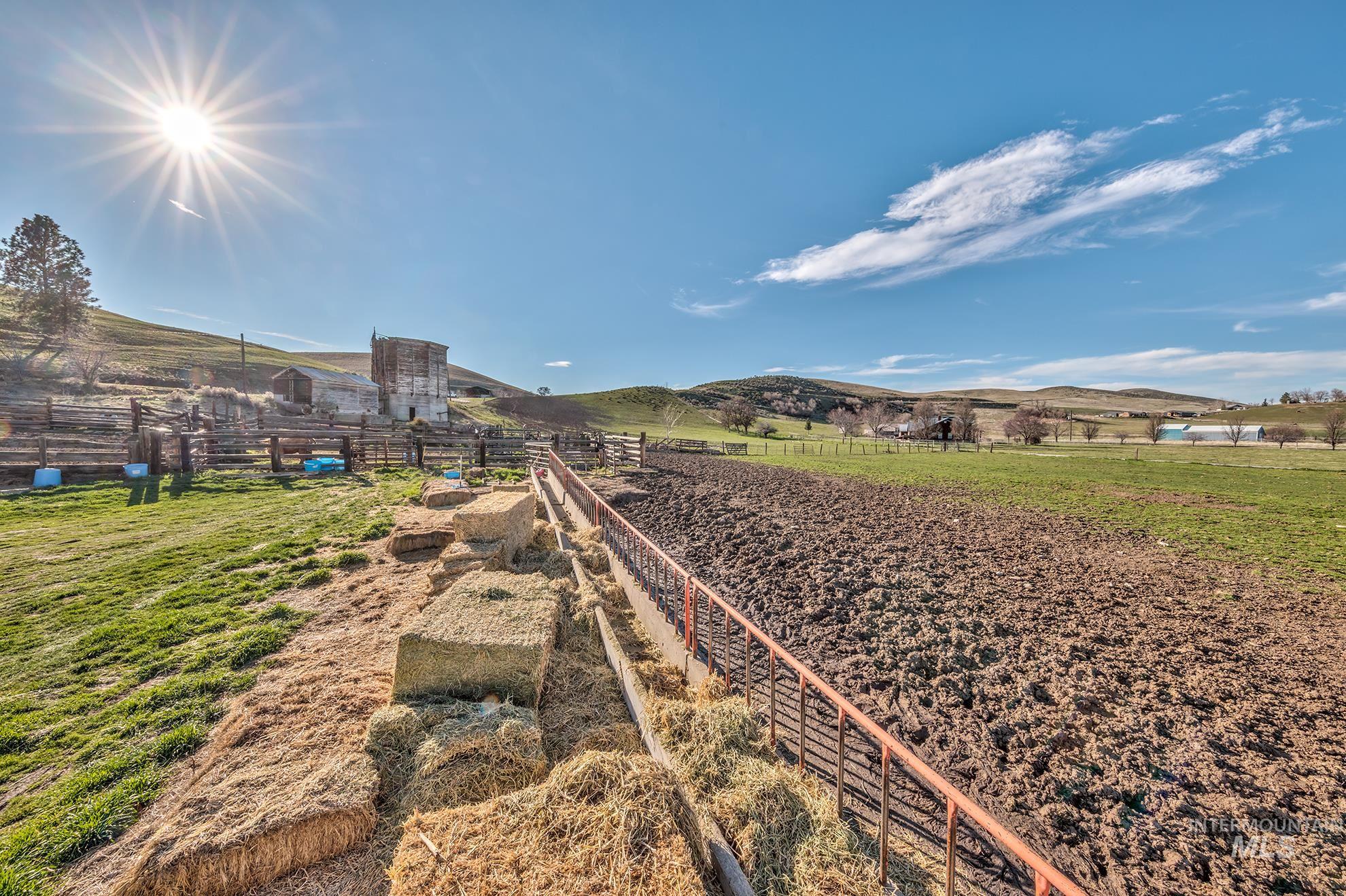 1365 HWY 95, Weiser, Idaho 83672, 3 Bedrooms, 2 Bathrooms, Residential For Sale, Price $545,000, 98982124