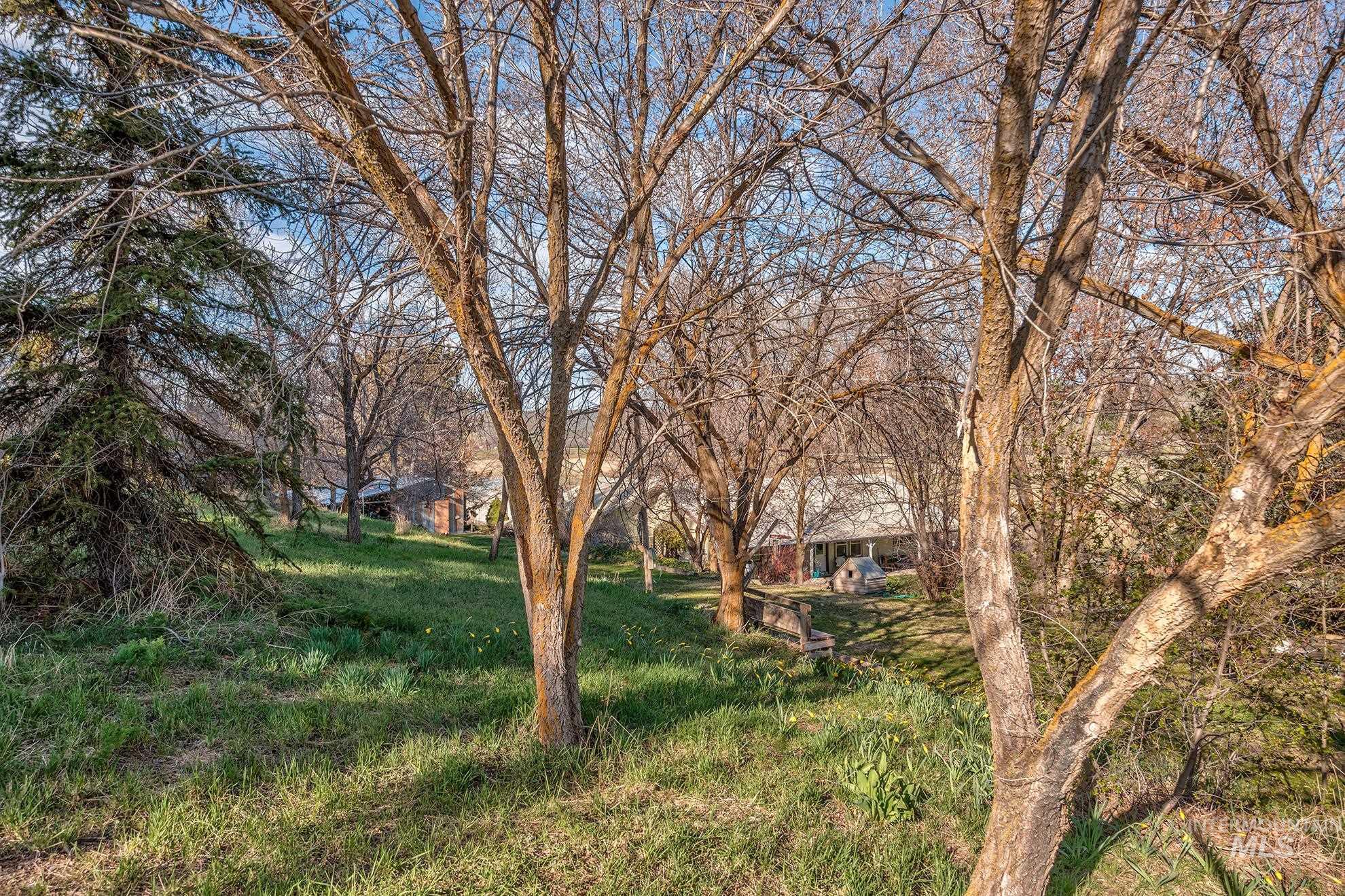 1365 HWY 95, Weiser, Idaho 83672, 3 Bedrooms, 2 Bathrooms, Residential For Sale, Price $545,000, 98982124