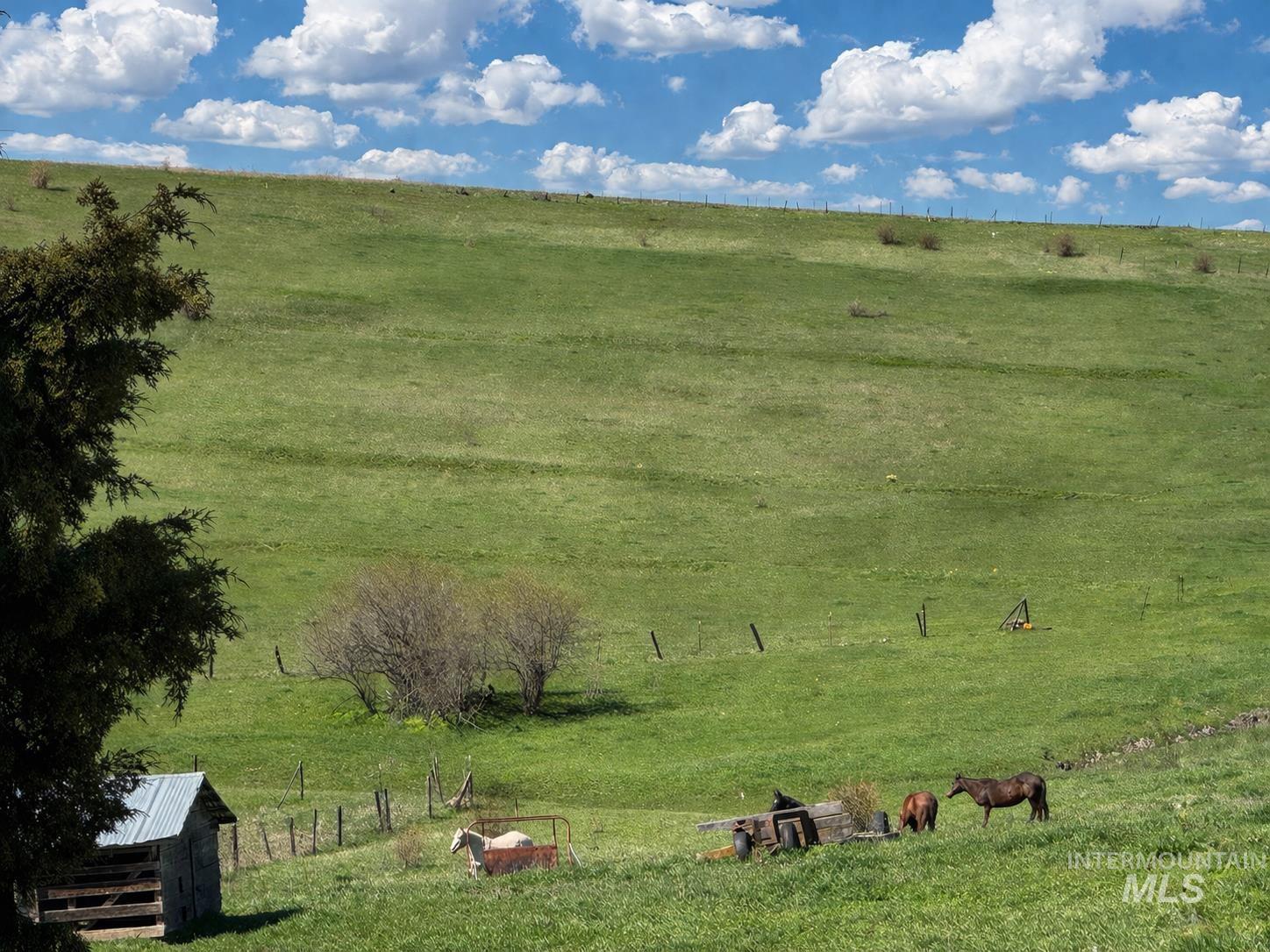 1753 Drake Rd, Kamiah, Idaho 83536, 3 Bedrooms, 1 Bathroom, Farm & Ranch For Sale, Price $1,150,000, 98982145