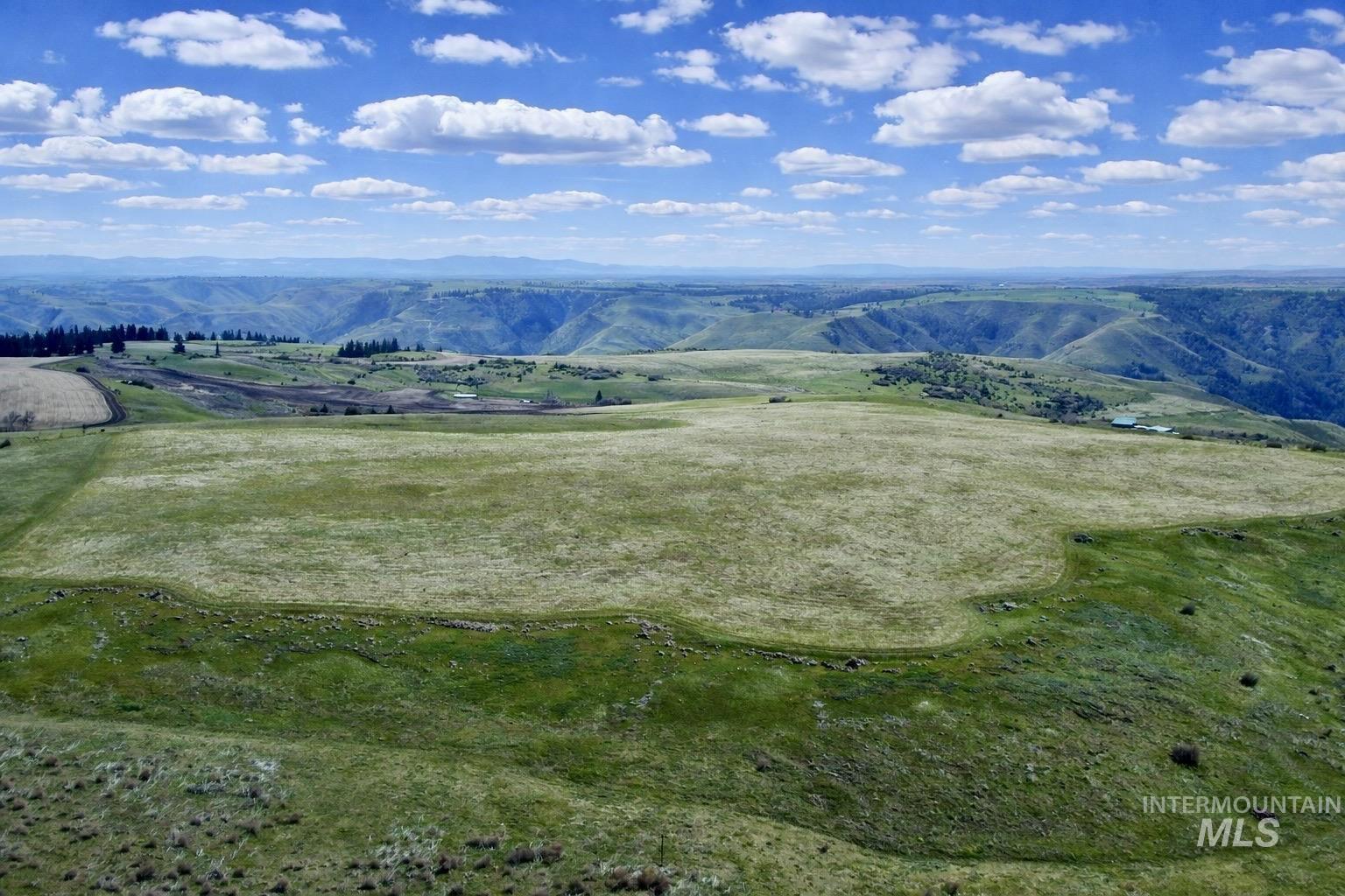 1753 Drake Rd, Kamiah, Idaho 83536, 3 Bedrooms, 1 Bathroom, Farm & Ranch For Sale, Price $1,150,000, 98982145