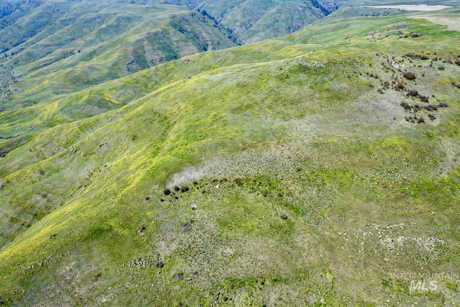 1753 Drake Rd, Kamiah, Idaho 83536, 3 Bedrooms, 1 Bathroom, Farm & Ranch For Sale, Price $1,150,000, 98982145