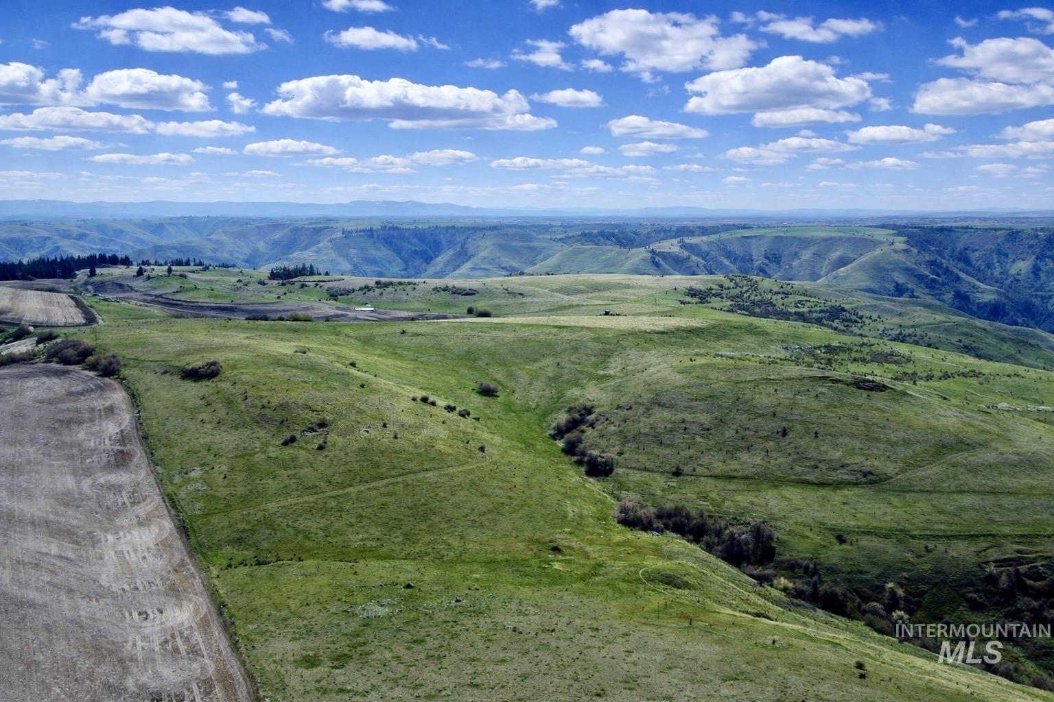 1753 Drake Rd, Kamiah, Idaho 83536, 3 Bedrooms, 1 Bathroom, Farm & Ranch For Sale, Price $1,150,000, 98982145