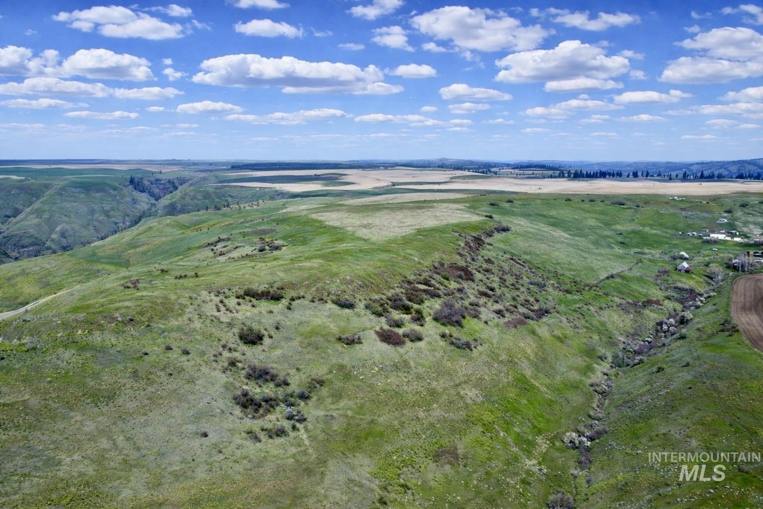 1753 Drake Rd, Kamiah, Idaho 83536, 3 Bedrooms, 1 Bathroom, Farm & Ranch For Sale, Price $1,150,000, 98982145