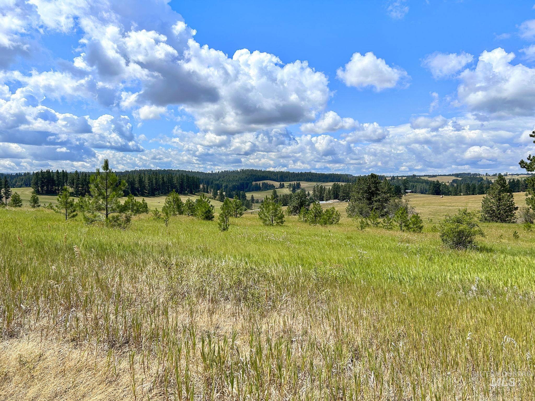 TBD Keuterville Road, CottonWood, Idaho 83522, Land For Sale, Price $349,000, 98982162