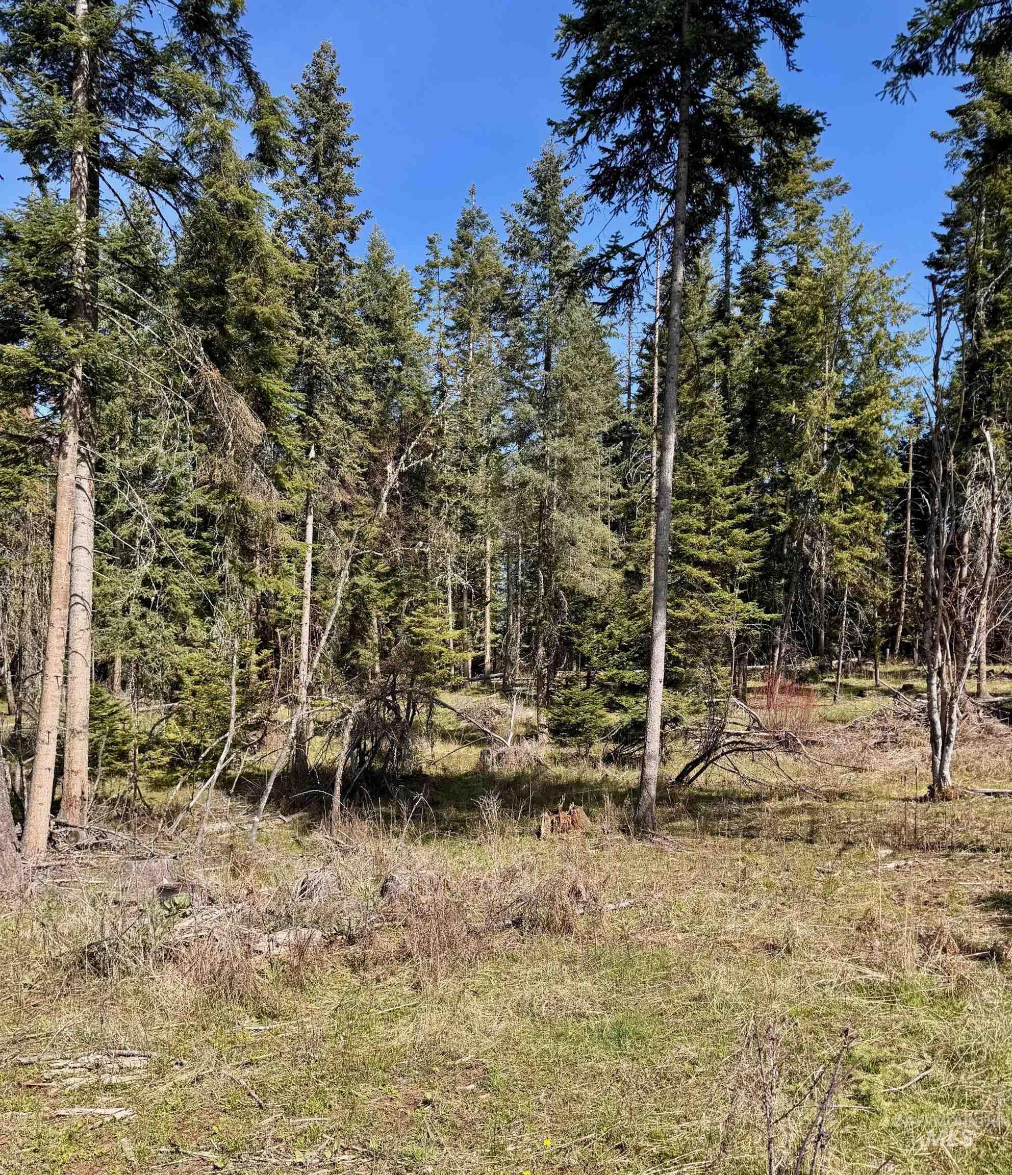TBD HARRIS RIDGE RD, Kooskia, Idaho 83539, Land For Sale, Price $239,000, 98982174
