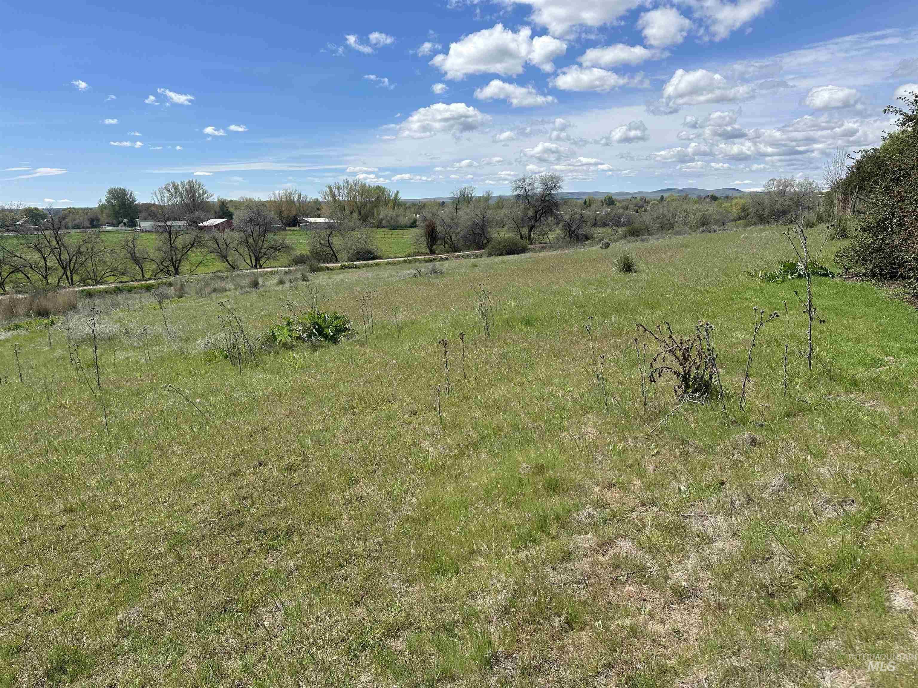 1452 Weiser River Rd, Weiser, Idaho 83672, 4 Bedrooms, 3 Bathrooms, Residential For Sale, Price $749,000, 98982194