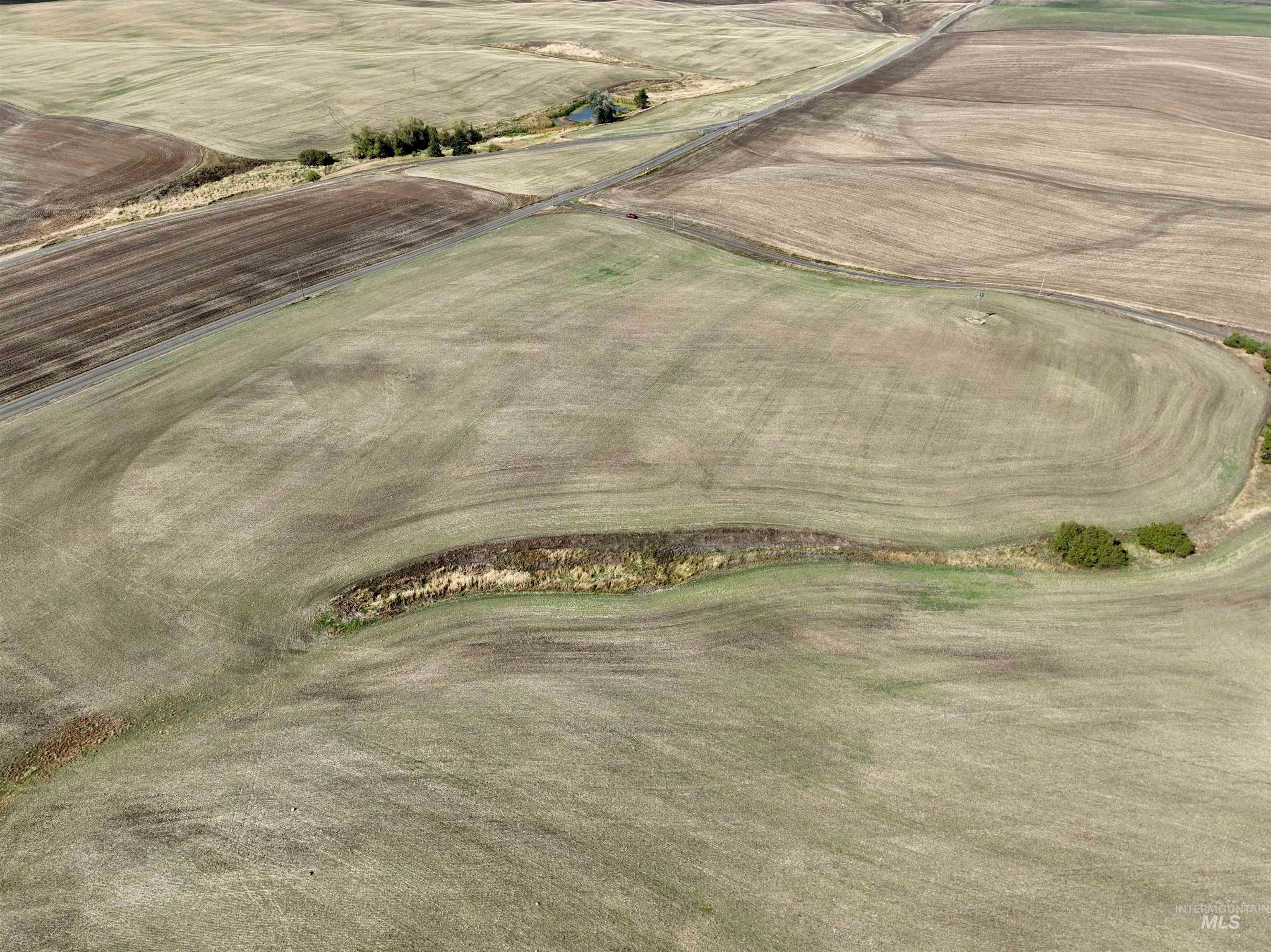 TBD Central Ridge Rd & Younger Rd, Craigmont, Idaho 83523, Farm & Ranch For Sale, Price $640,000, 98982209