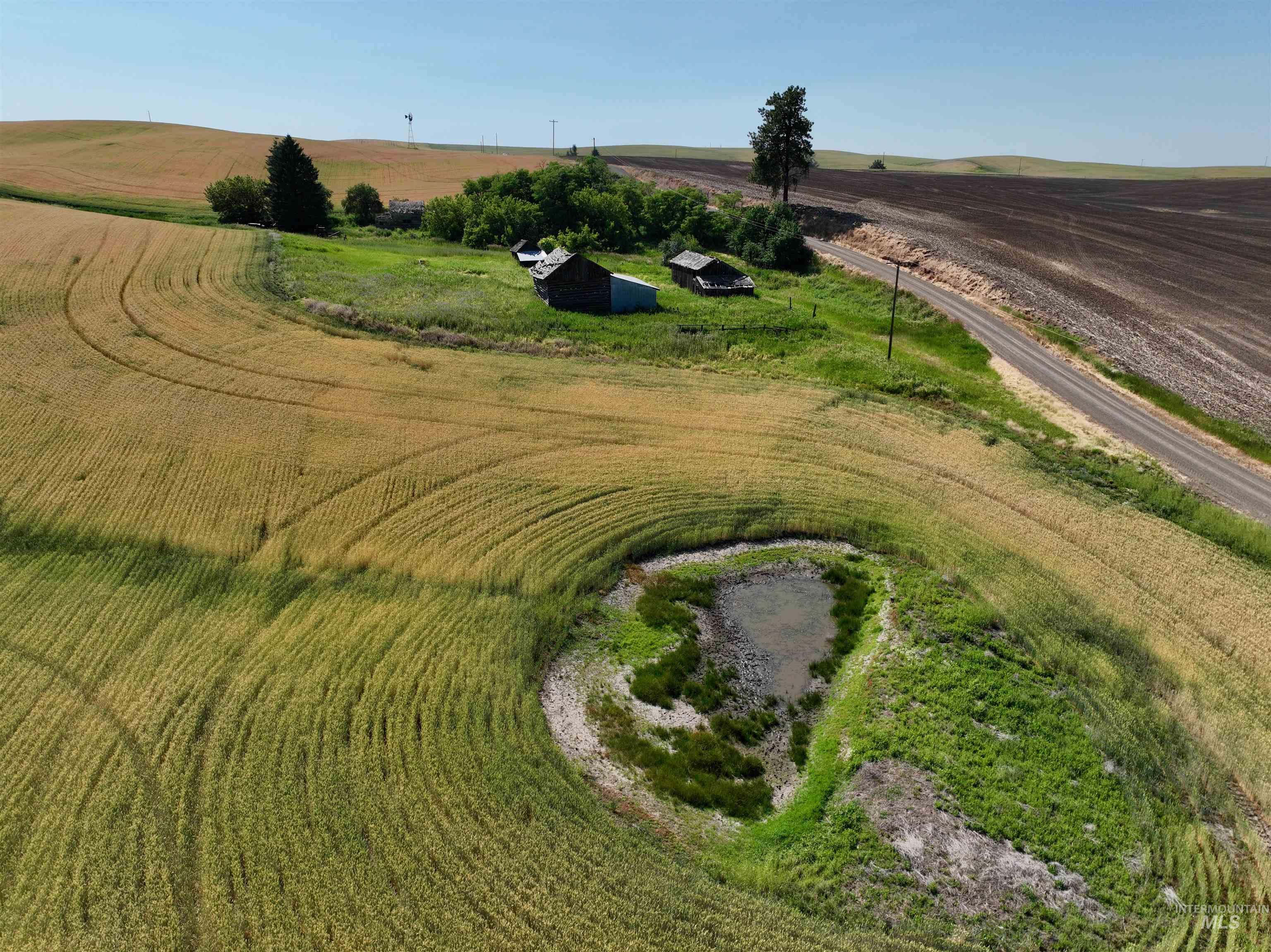 TBD Central Ridge Rd & Younger Rd, Craigmont, Idaho 83523, Farm & Ranch For Sale, Price $640,000, 98982209