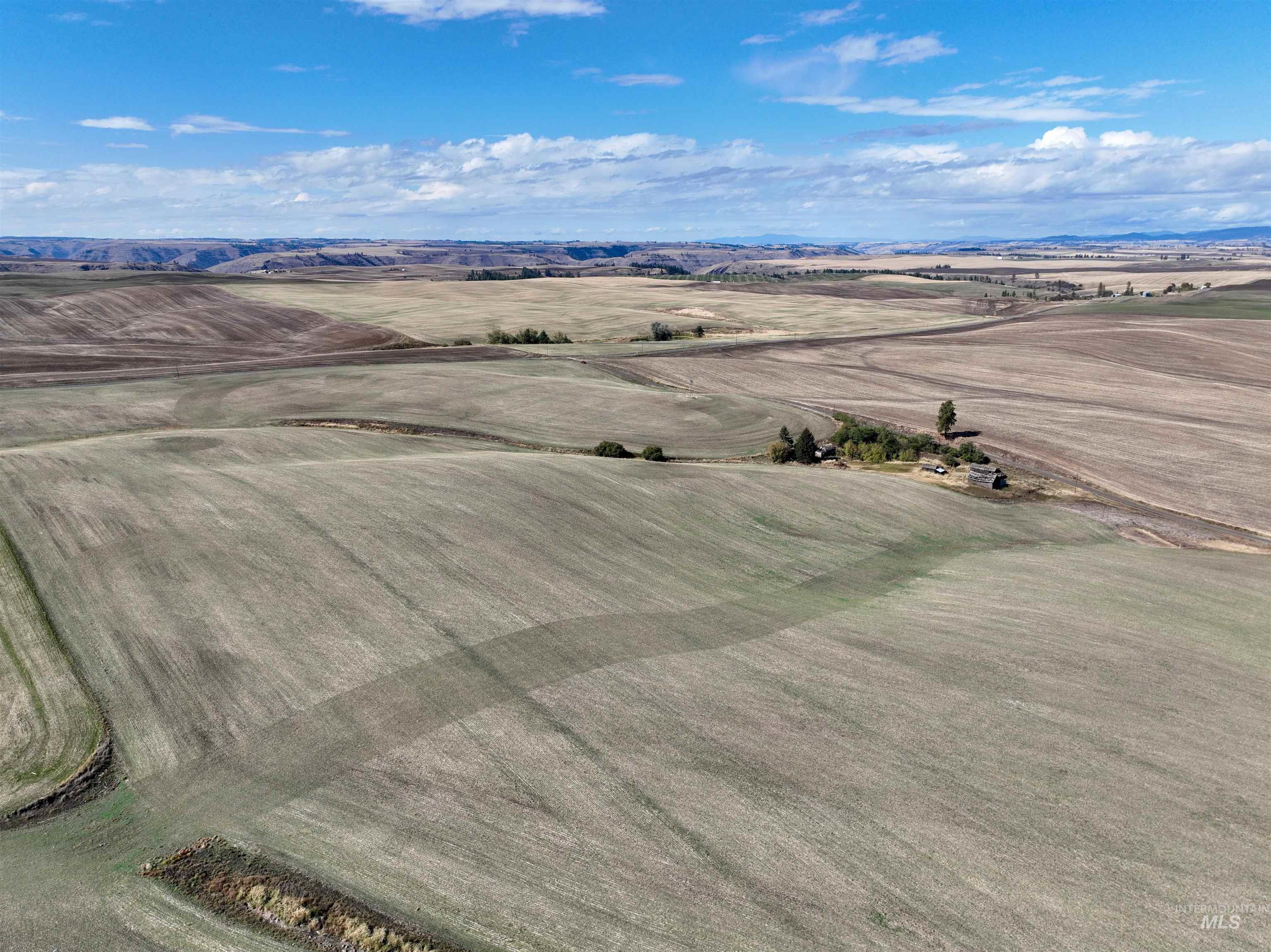 TBD Central Ridge Rd & Younger Rd, Craigmont, Idaho 83523, Farm & Ranch For Sale, Price $640,000, 98982209