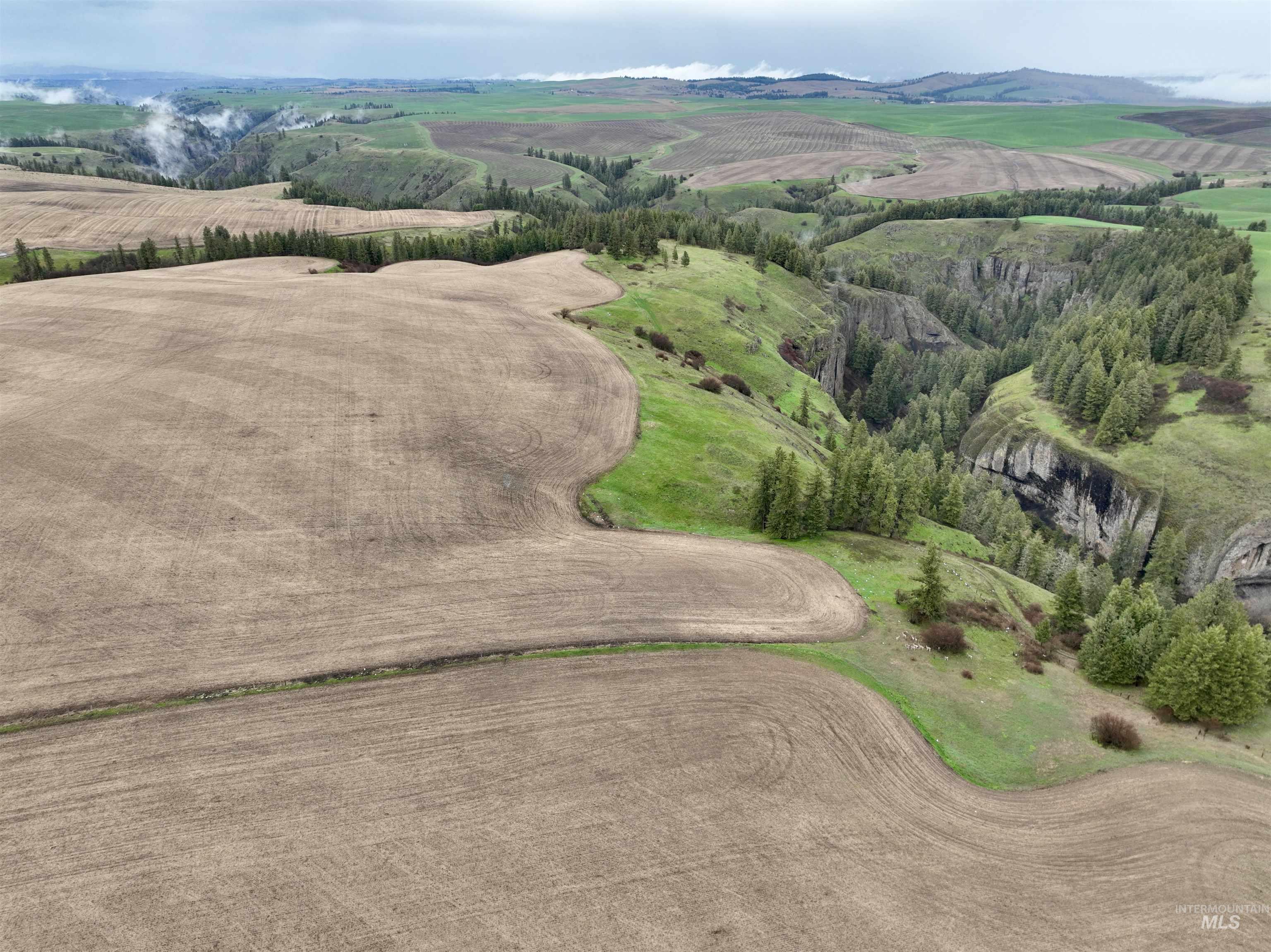 TBD Central Ridge Rd & Younger Rd, Craigmont, Idaho 83523, Farm & Ranch For Sale, Price $640,000, 98982209