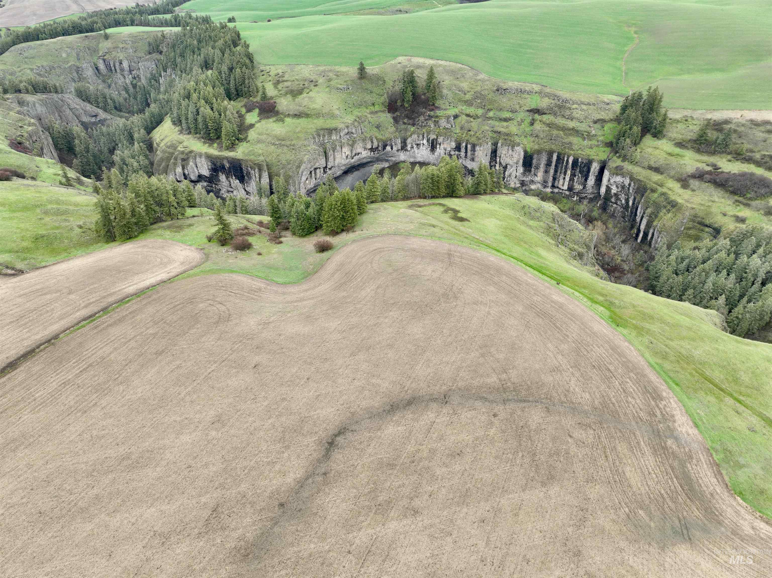 TBD Central Ridge Rd & Younger Rd, Craigmont, Idaho 83523, Farm & Ranch For Sale, Price $640,000, 98982209