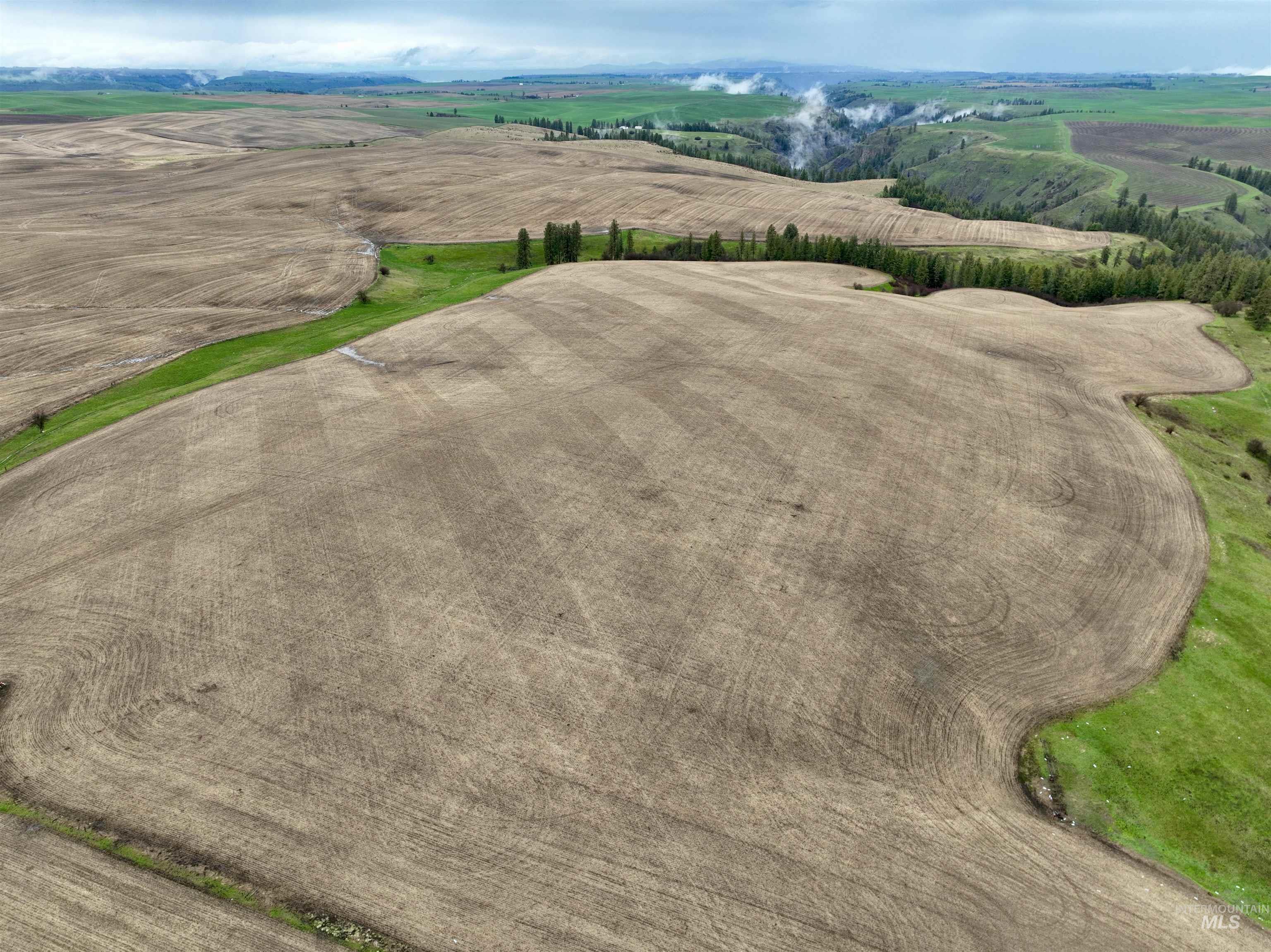 TBD Central Ridge Rd & Younger Rd, Craigmont, Idaho 83523, Farm & Ranch For Sale, Price $640,000, 98982209